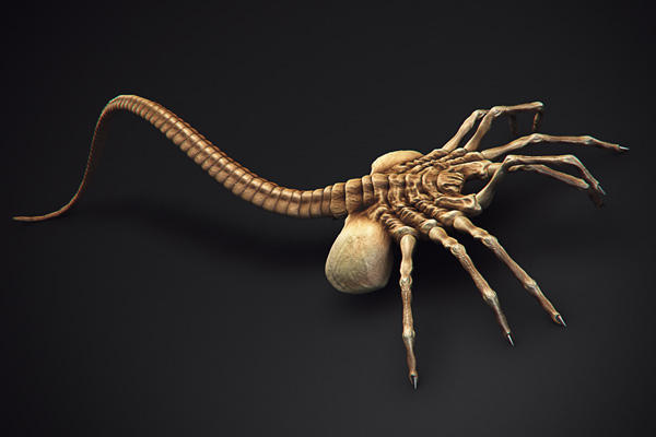 Miniatura 5 do modelo 3D Alien Facehugger
