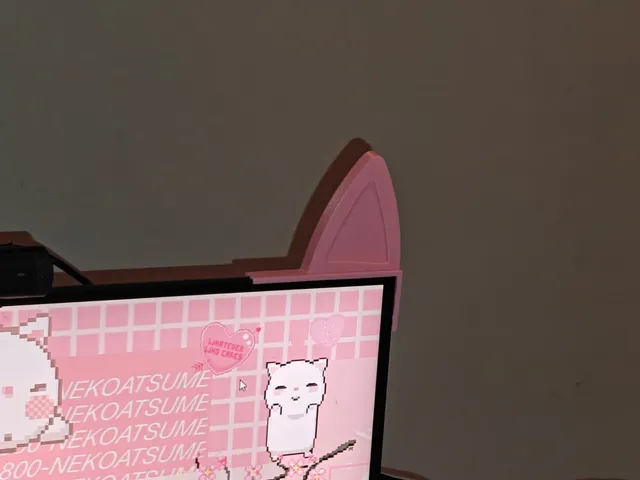 Monitor Cat Ears