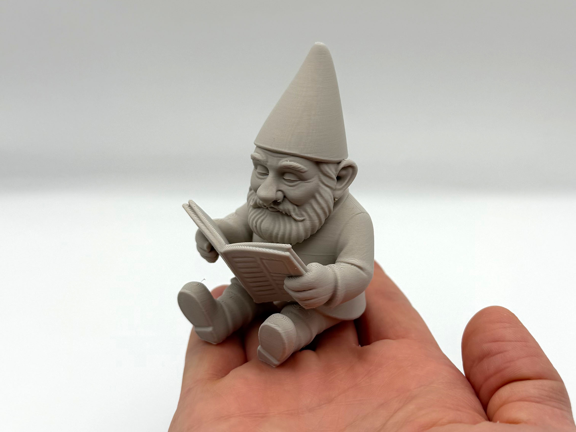 Reading Garden Gnome