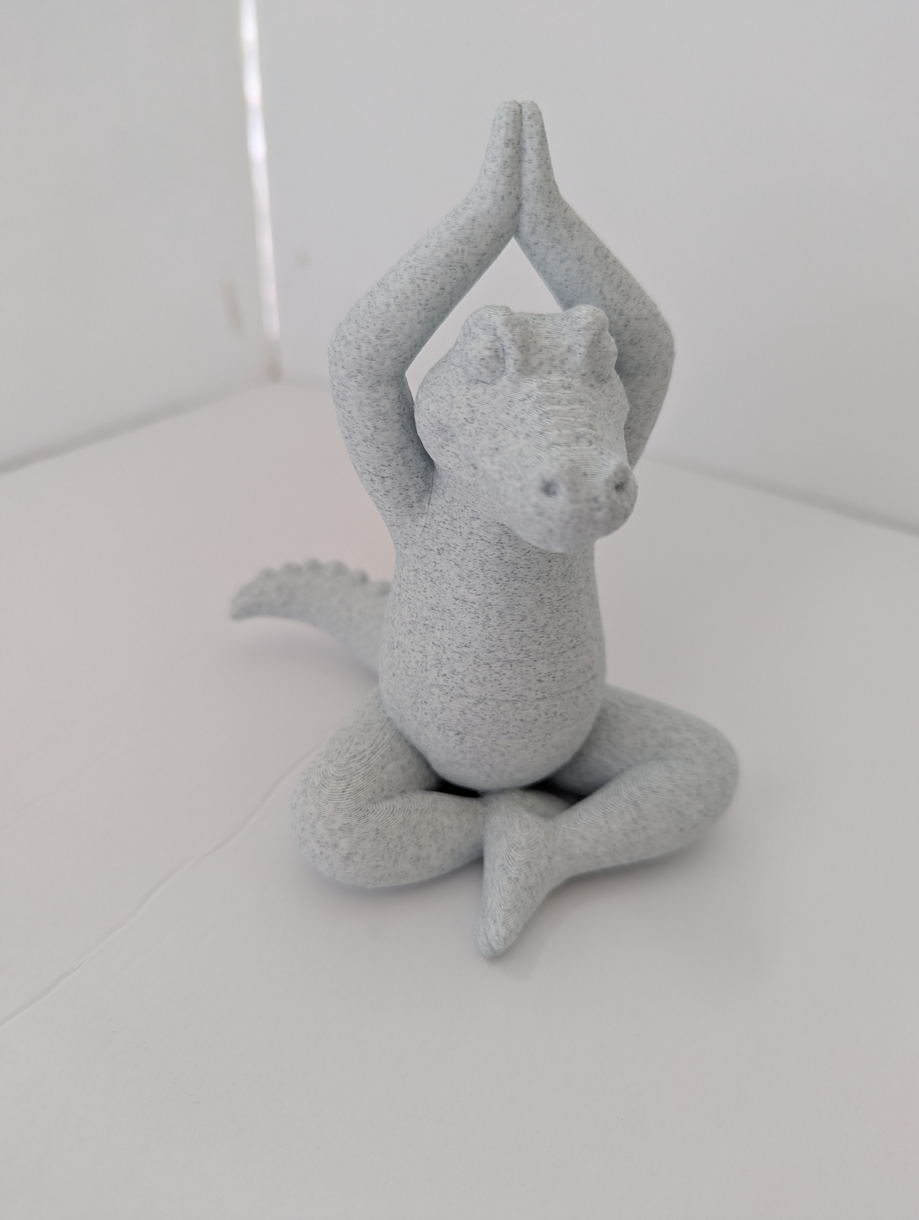 Yoga Gator