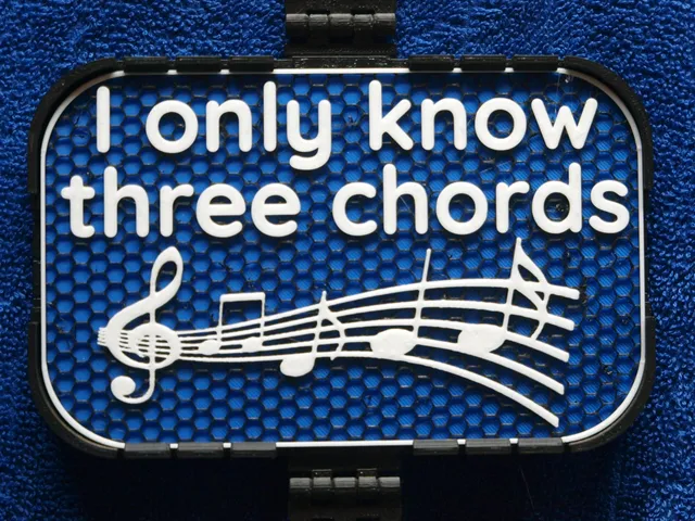 Only Know Three Chords sign