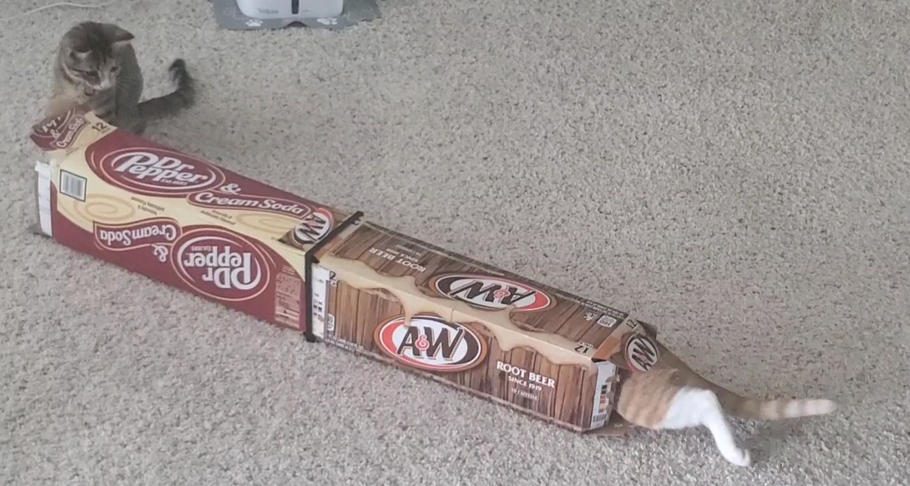 Connector For 12-Pack Cardboard Soda Box Cat Tunnels