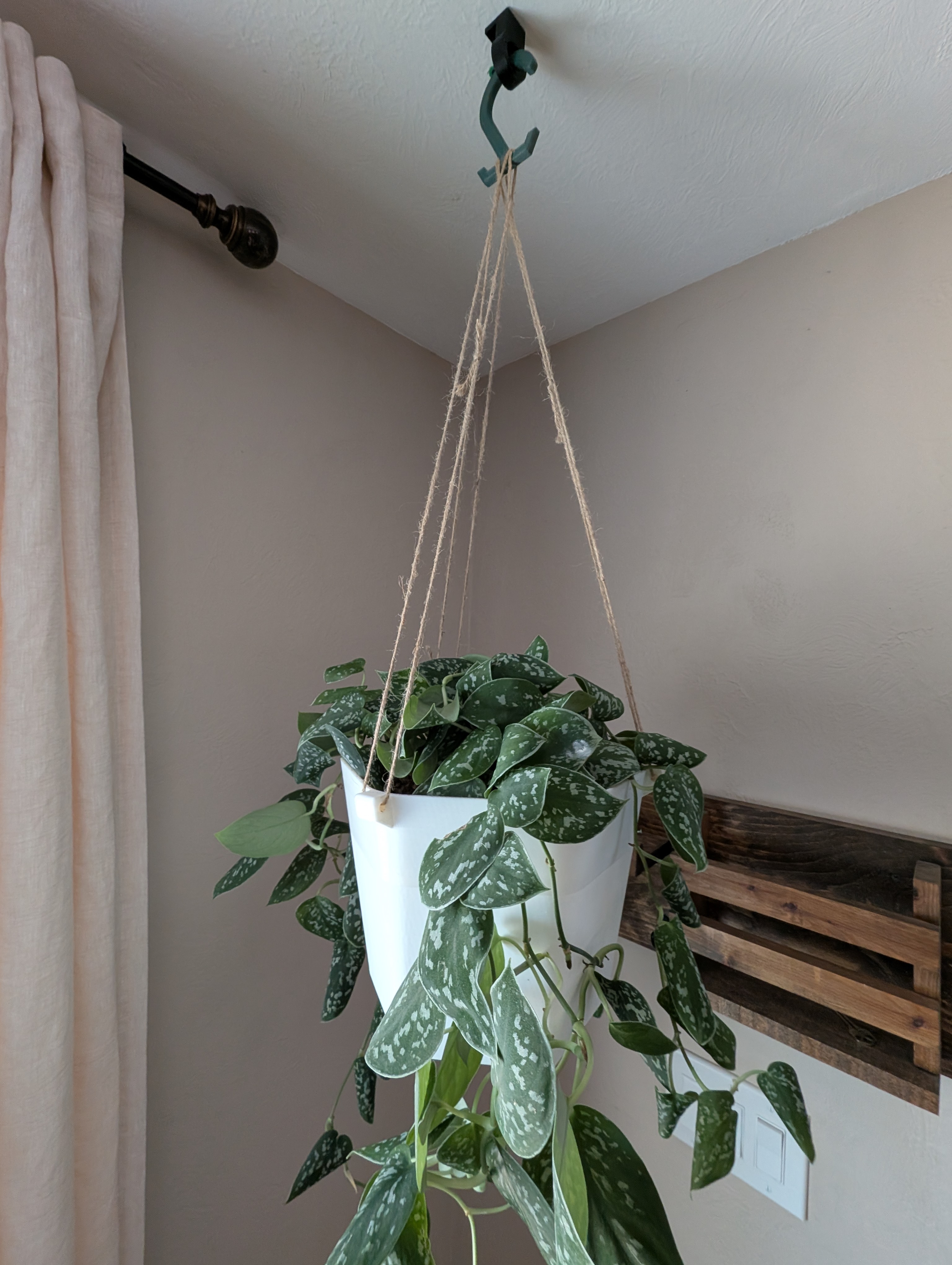 Self Watering Hanging Pot