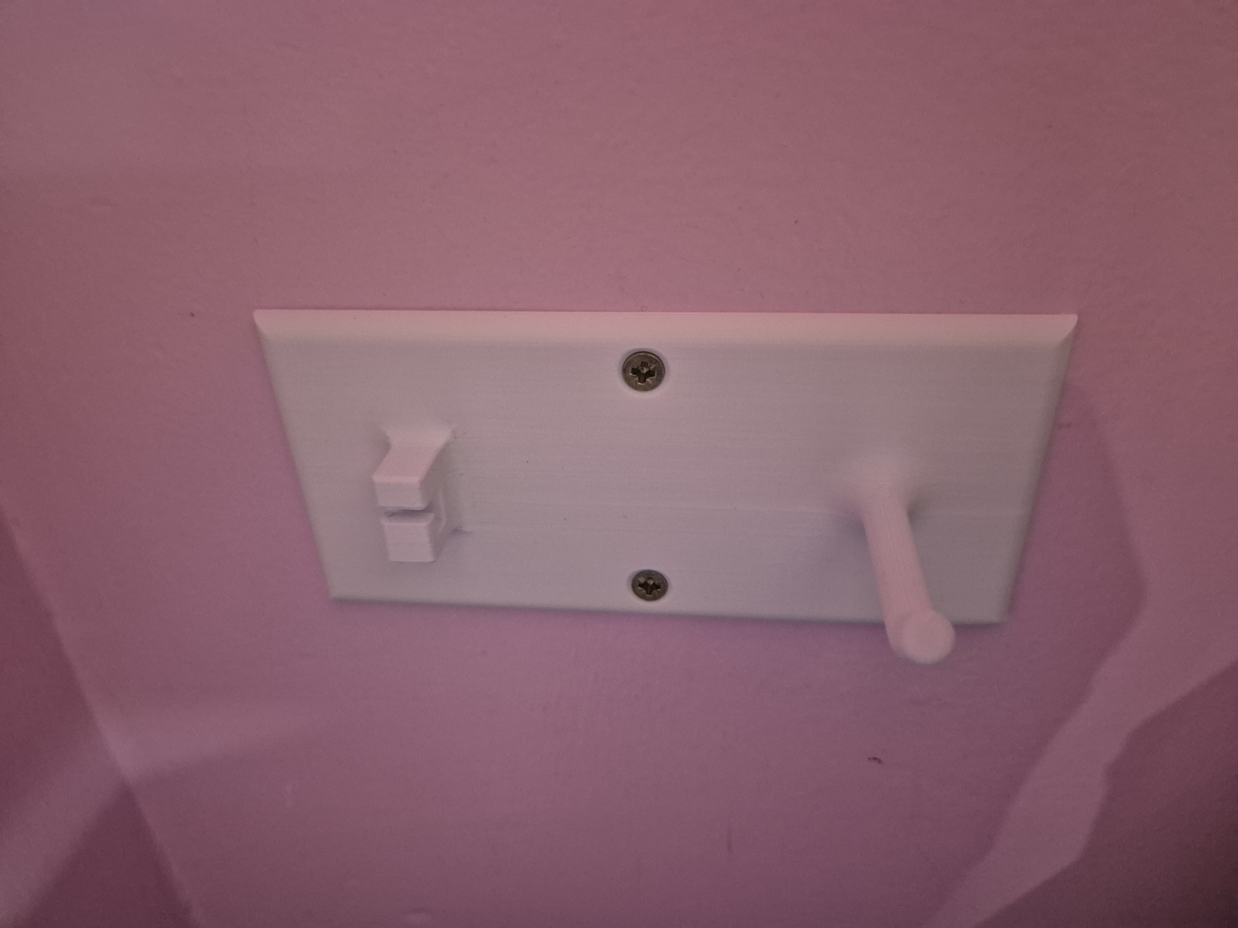 Dustpan and bag hook