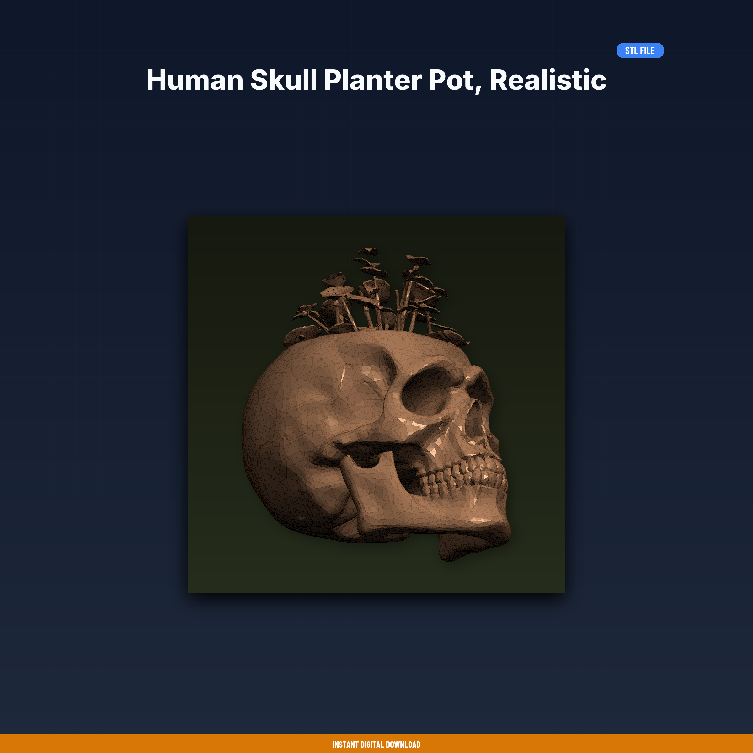 Human Skull Planter Pot, Realistic Detail, Plant Grows From Top, - 3D Printable STL File