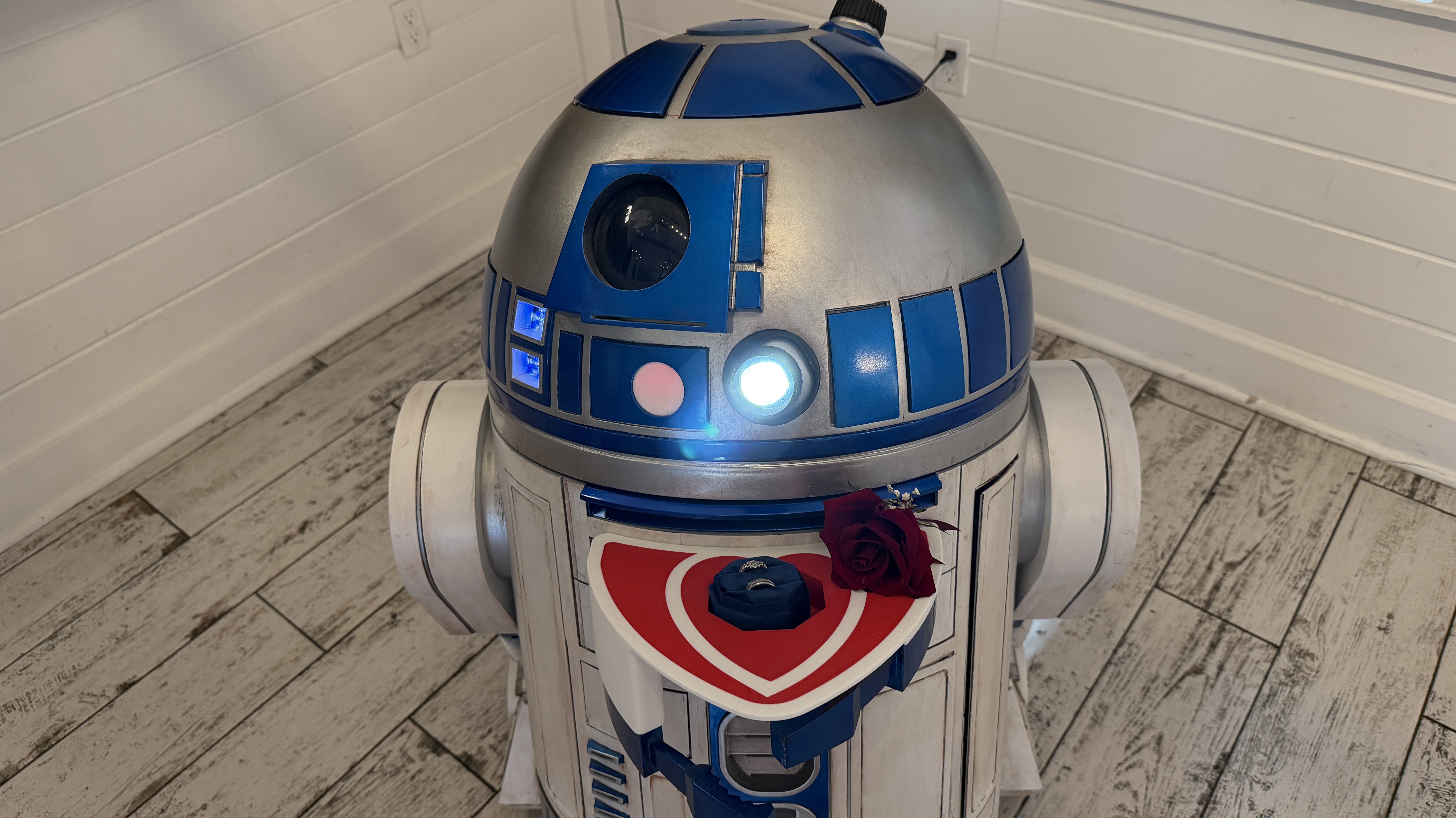 R2-D2 Ring Wedding Ring-Bearer Kit