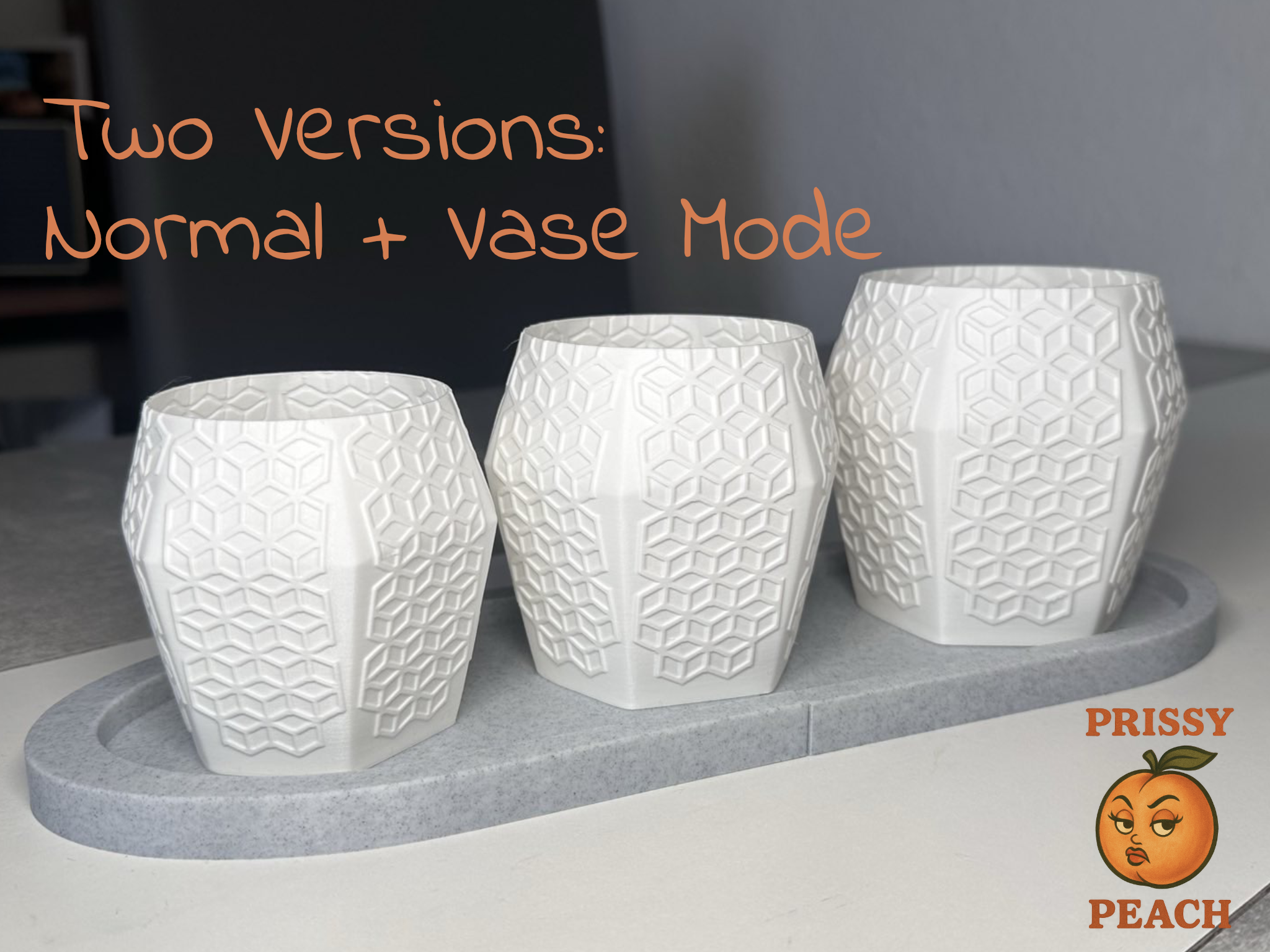 Modern Planter & Vase Flower Pot –Vase Mode Design