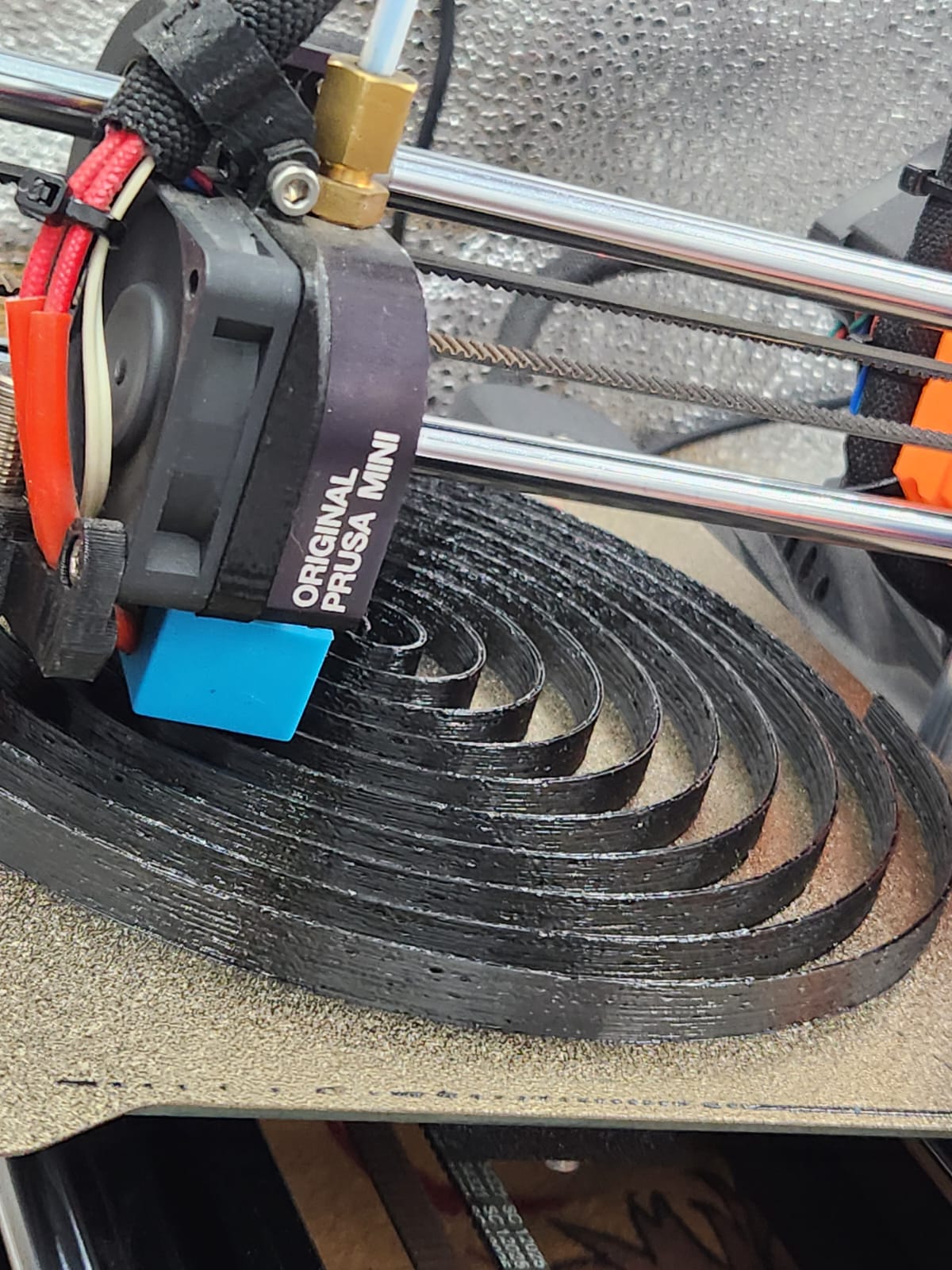 Parametric TPU Belt / Strap Generator