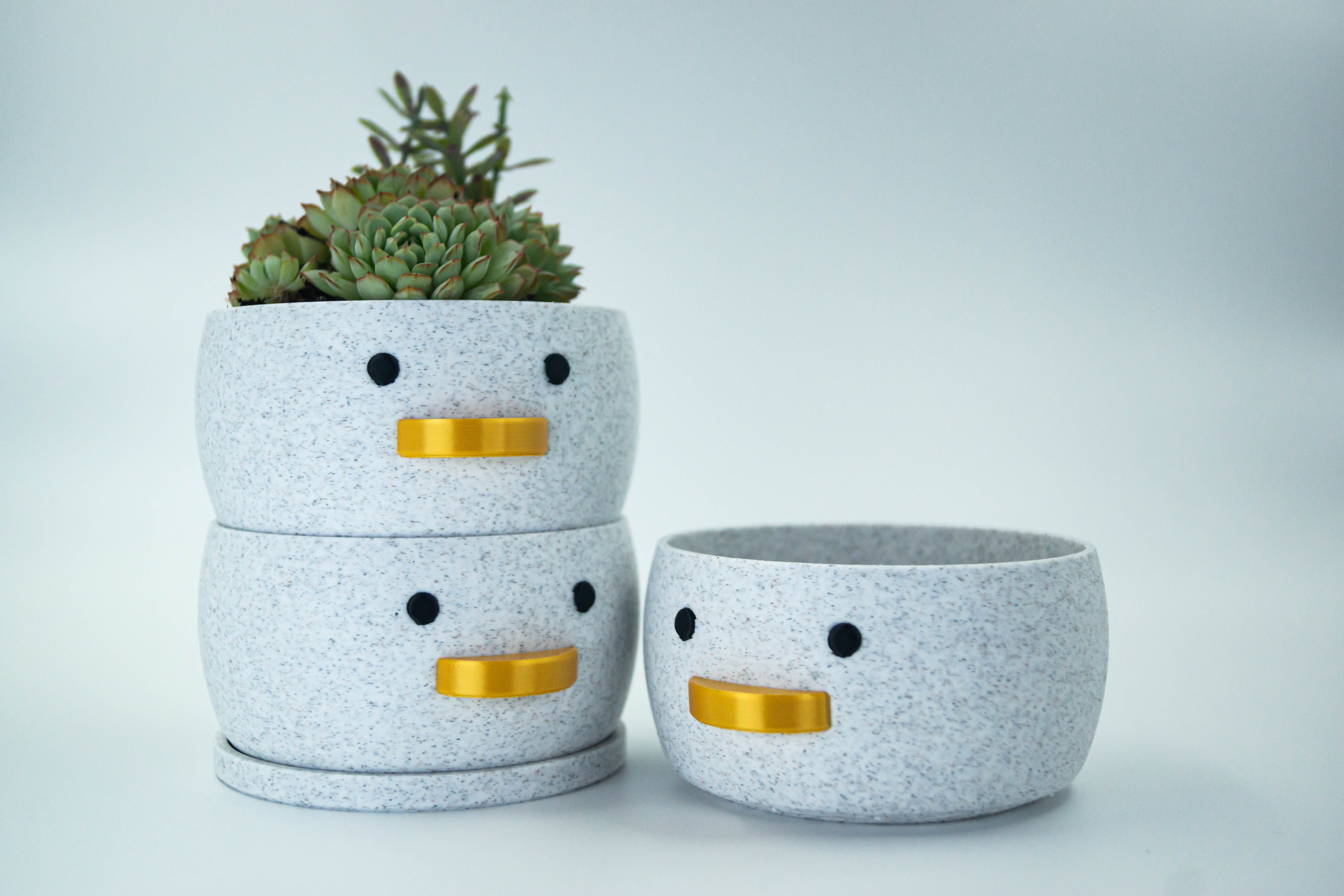 Miniatura 2 do modelo 3D Mini Duck Planter