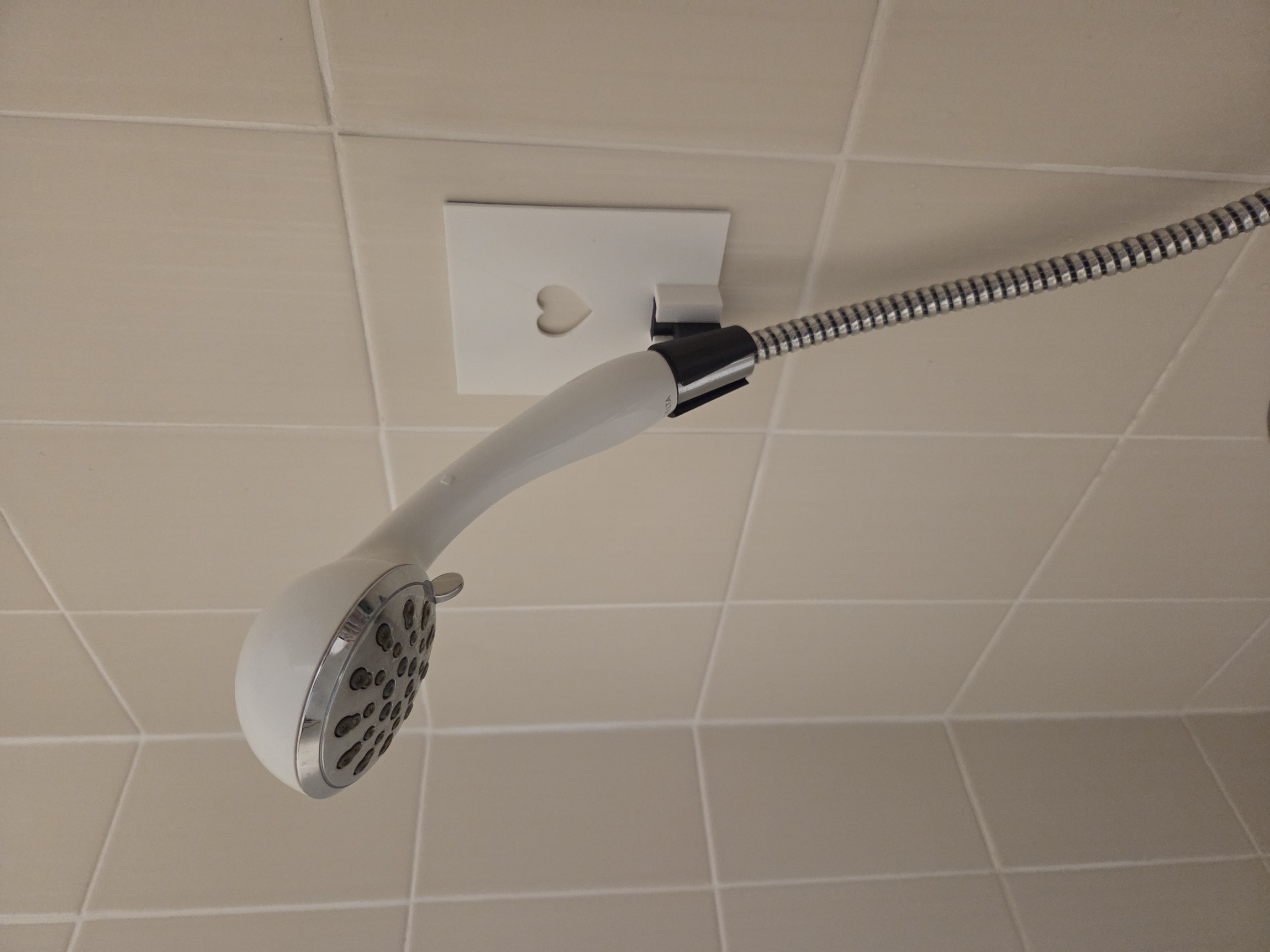 Shower head holder