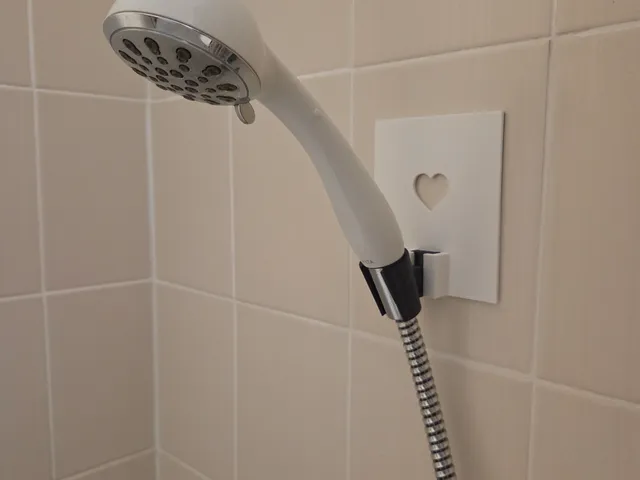 Shower head holder