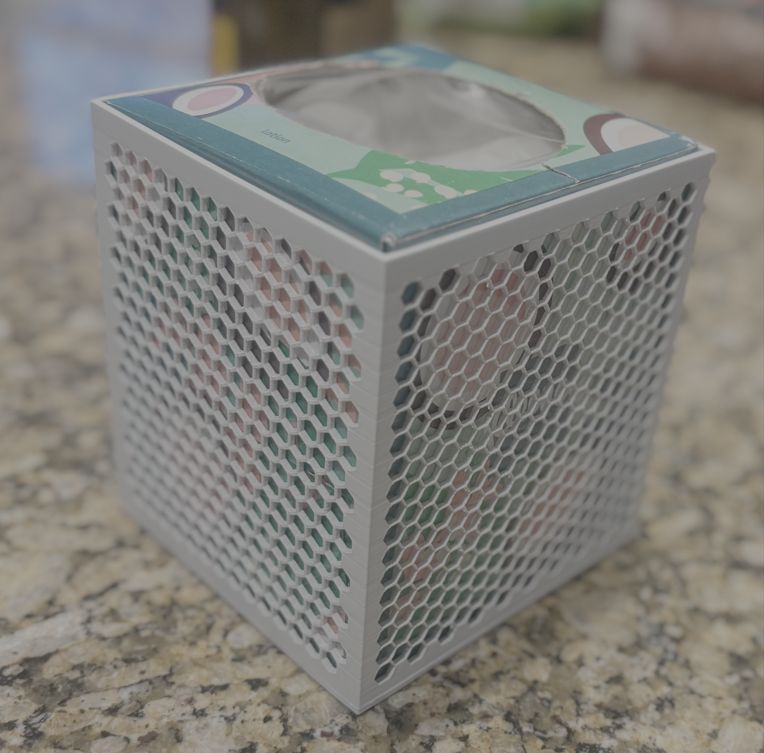 Kleenex Box Case