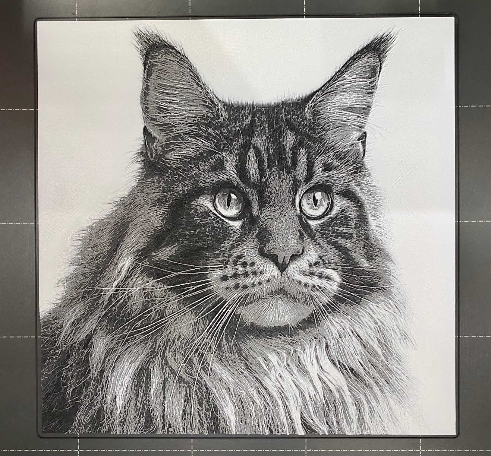 Maine Coon Cat #1 - Hueforge