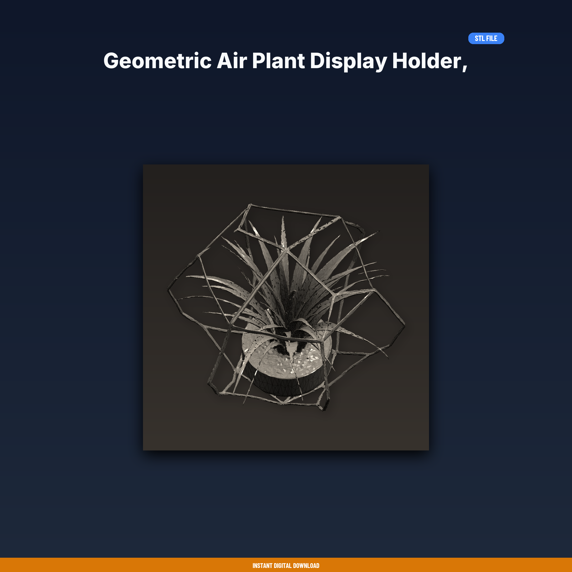 Geometric Air Plant Display Holder, Tillandsia Cradle, Wall Mount - 3D Printable STL File