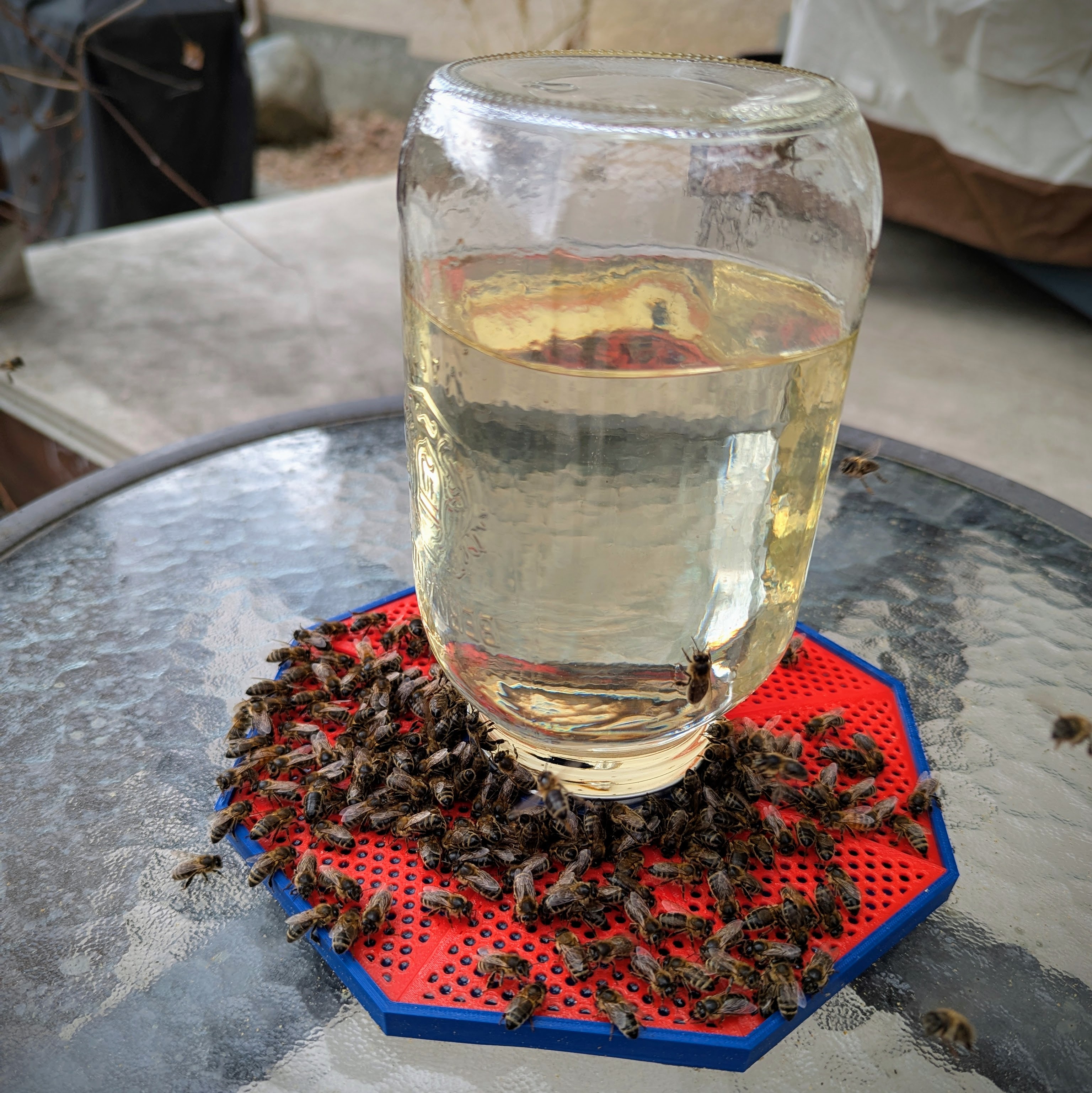 Safe Mason Jar Bee Waterer (Open feeder)