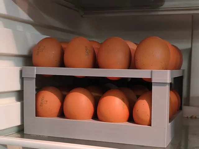 Egg Organizer