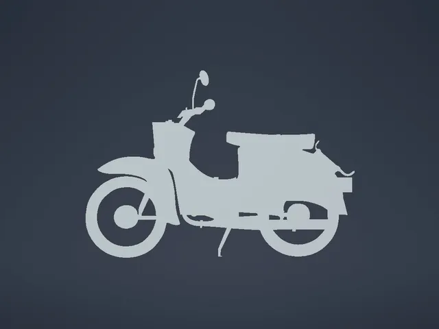 Simson Schwalbe Silouette