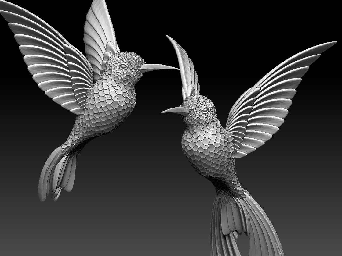 hummingbird — miniatura 8