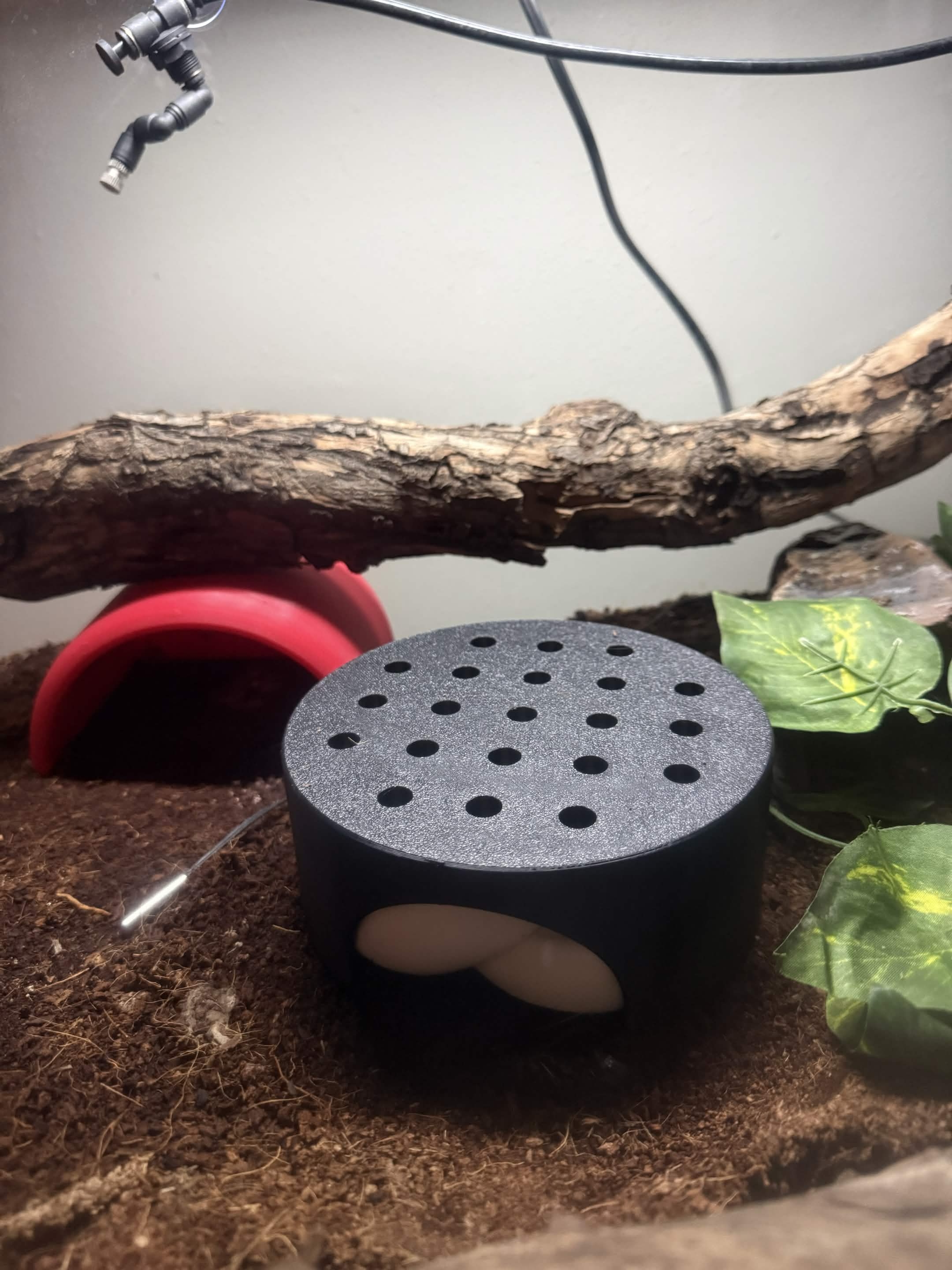 Snake Hide - Circular