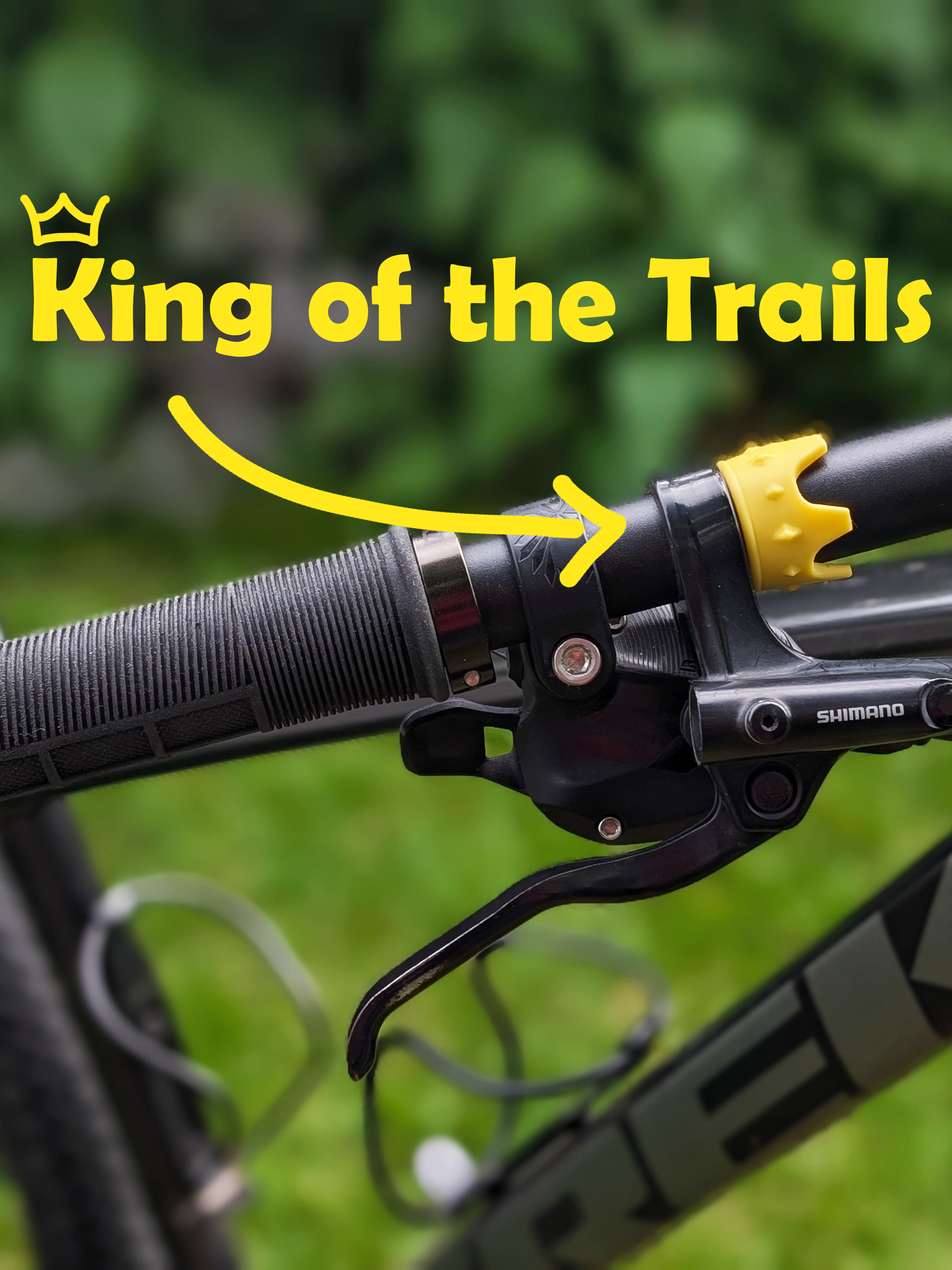 Miniatura 4 do modelo 3D Handlebar Crown Ring