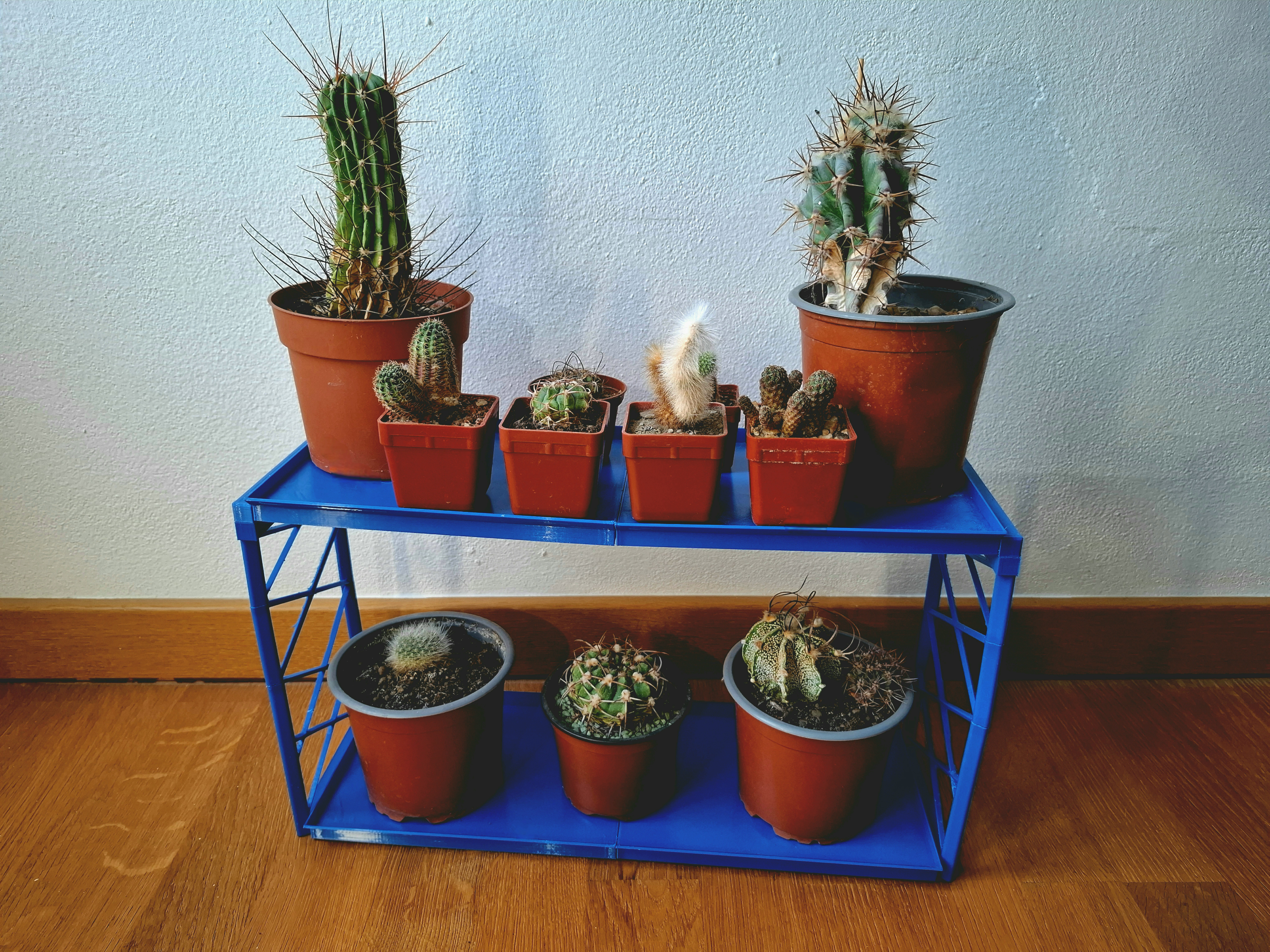 Multi shelf