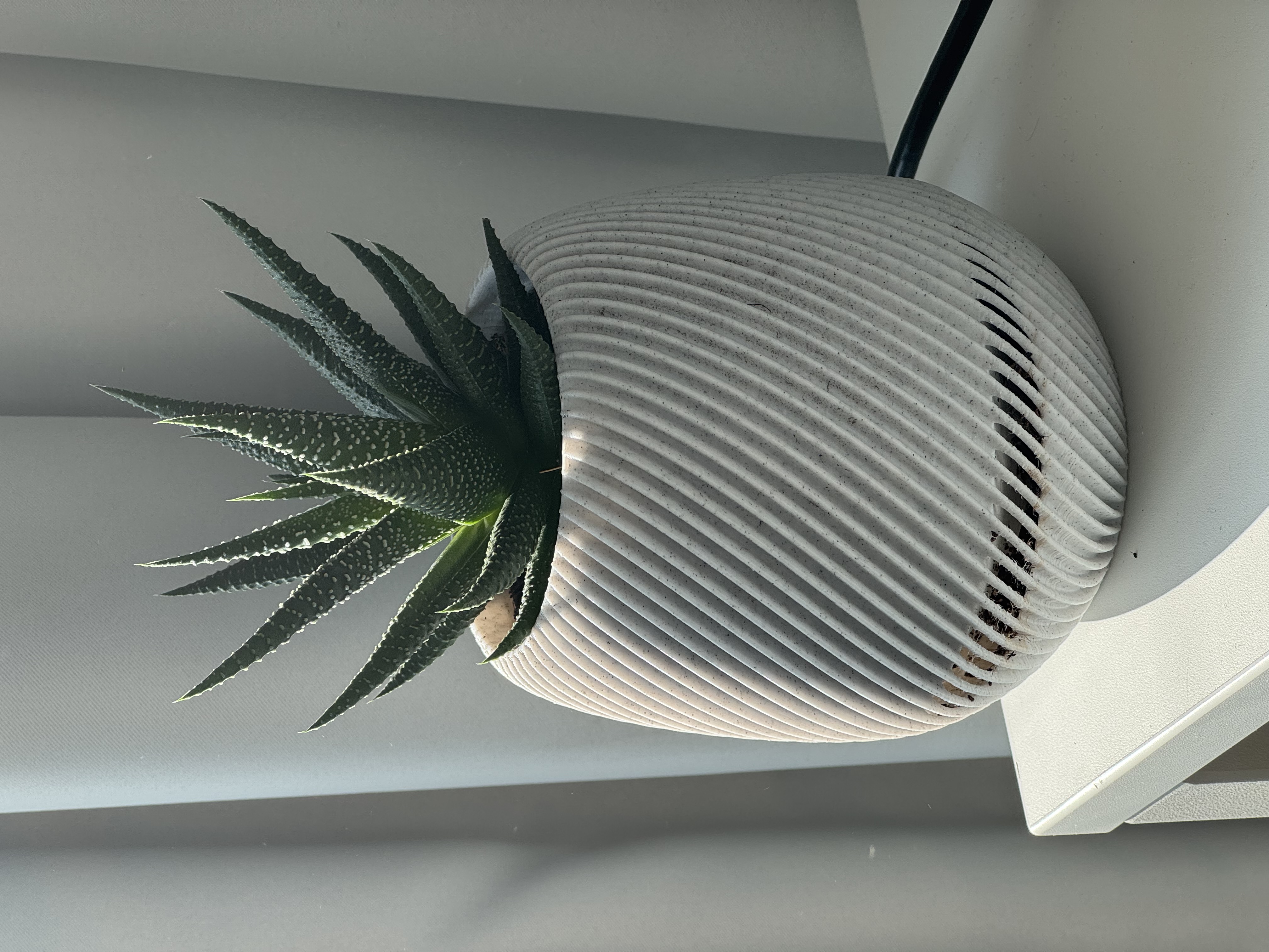 Spiral Planter with integrated drainage and water collection