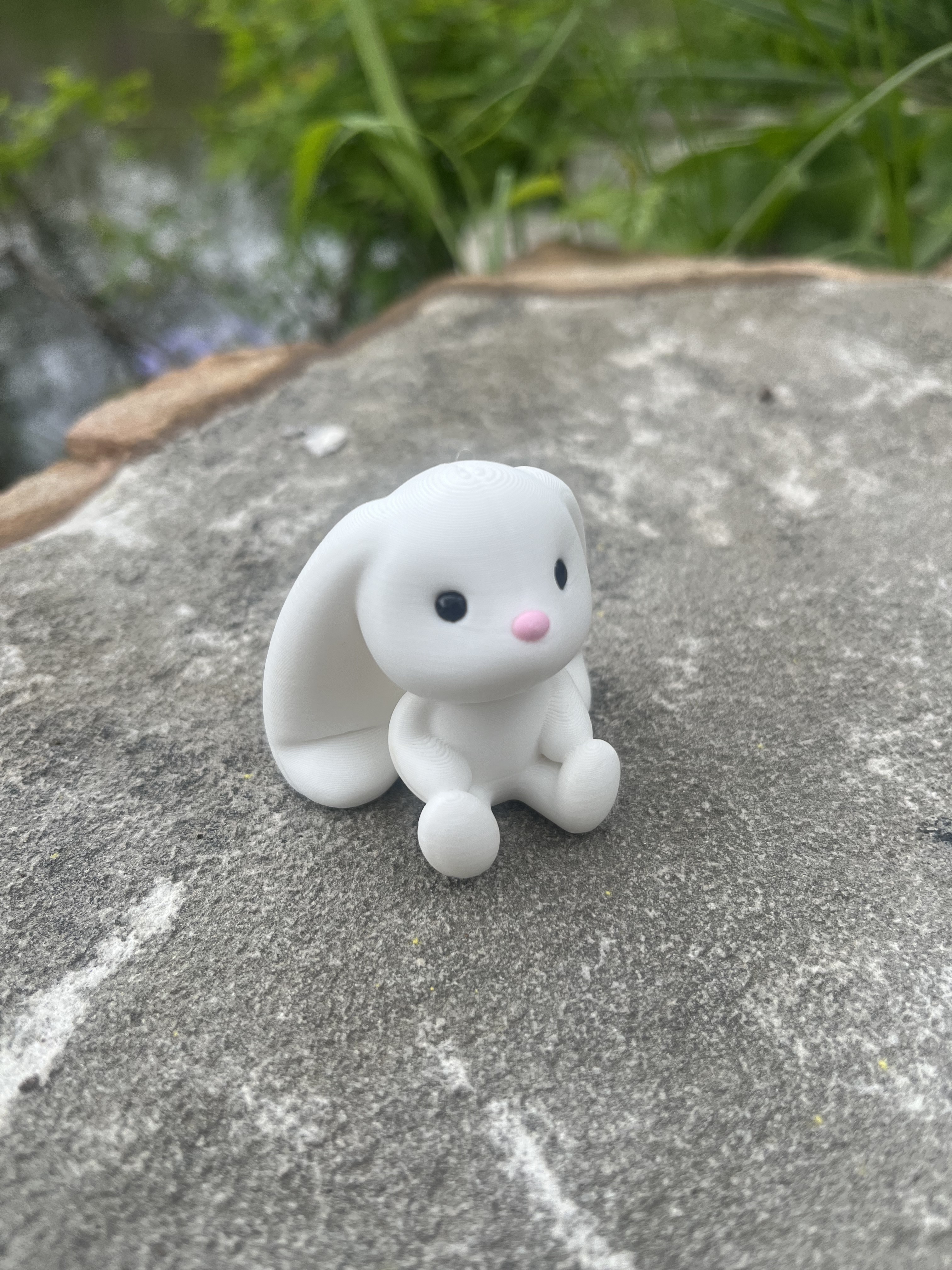 Bunny Bun