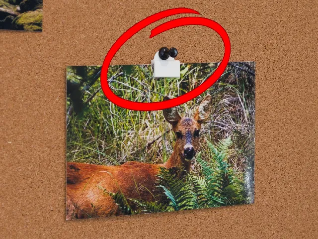 Pinboard photo clip