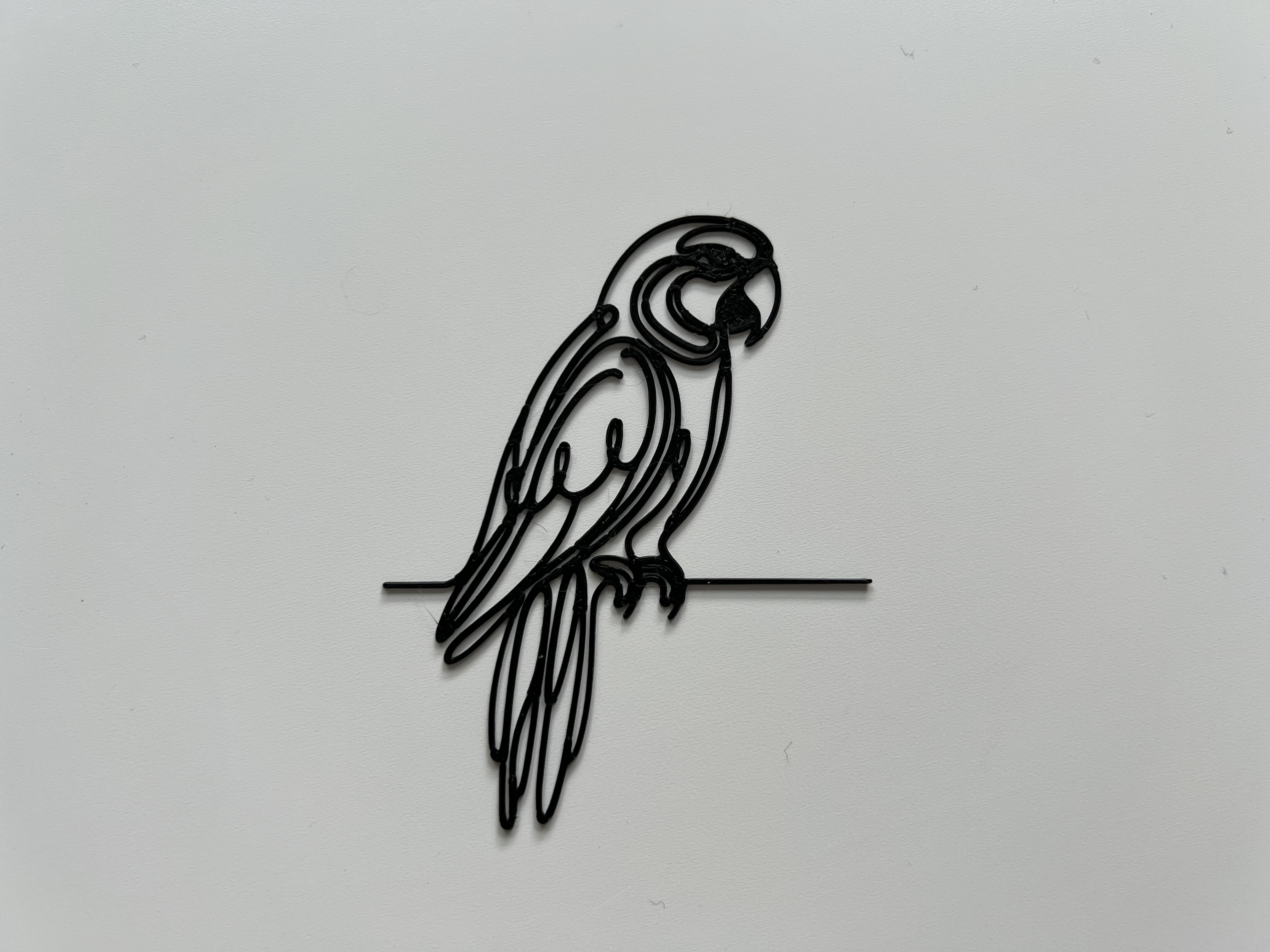 Parrot Wall Art #5