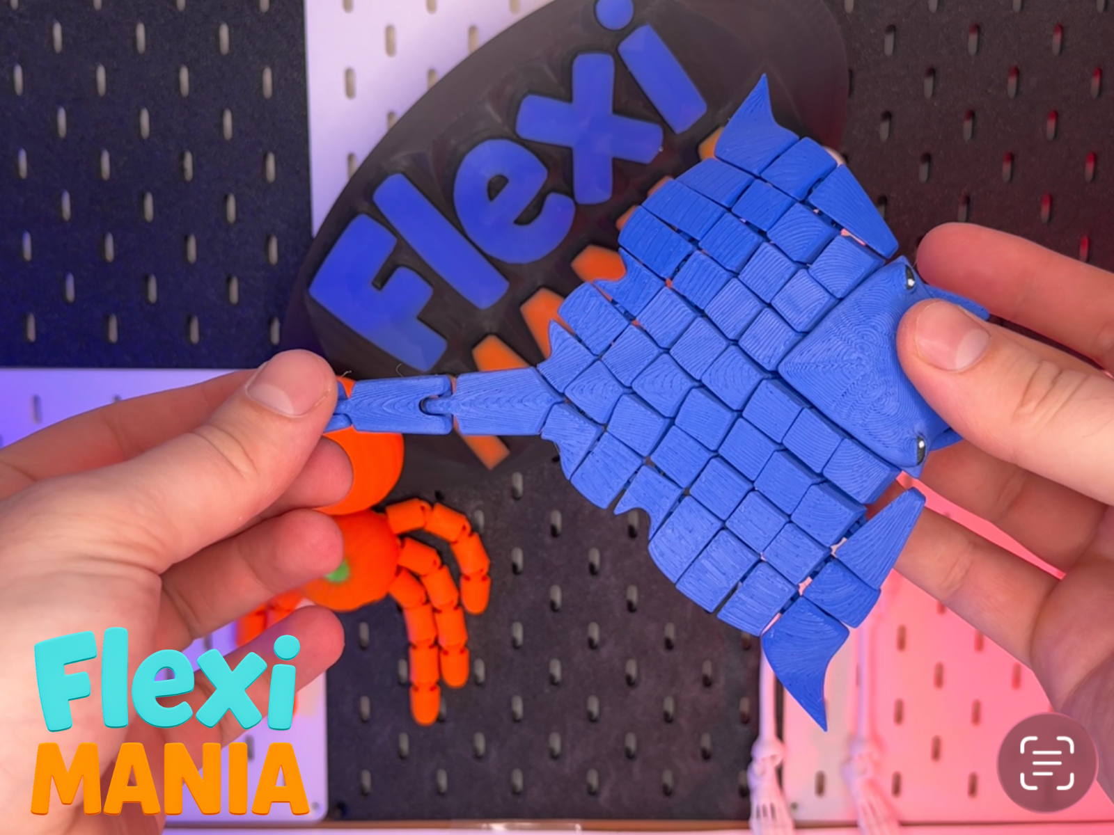 Flexi Stingray – One-Piece Floating Motion Edition