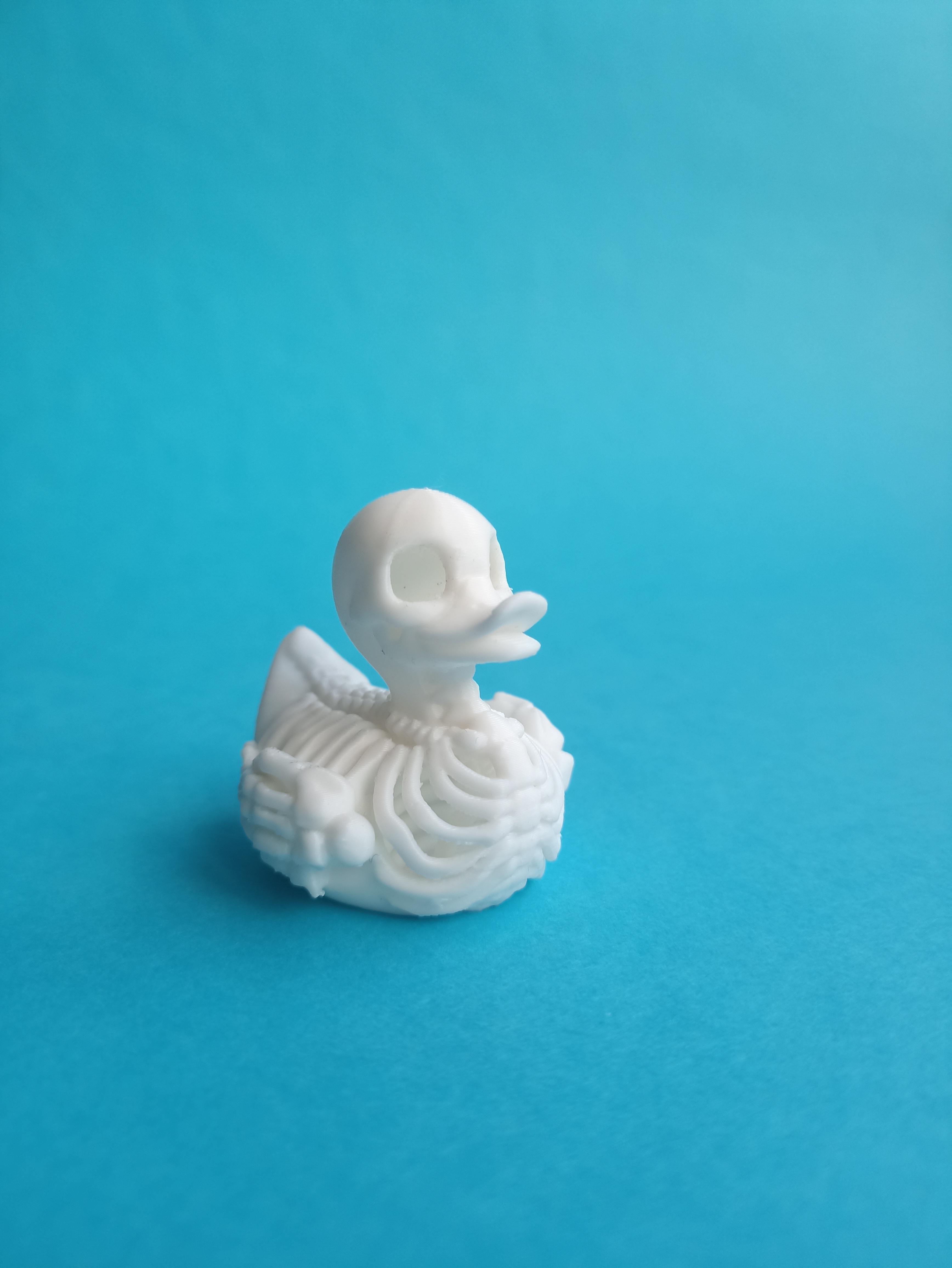 Miniatura 3 do modelo 3D Duck skeleton, bones.