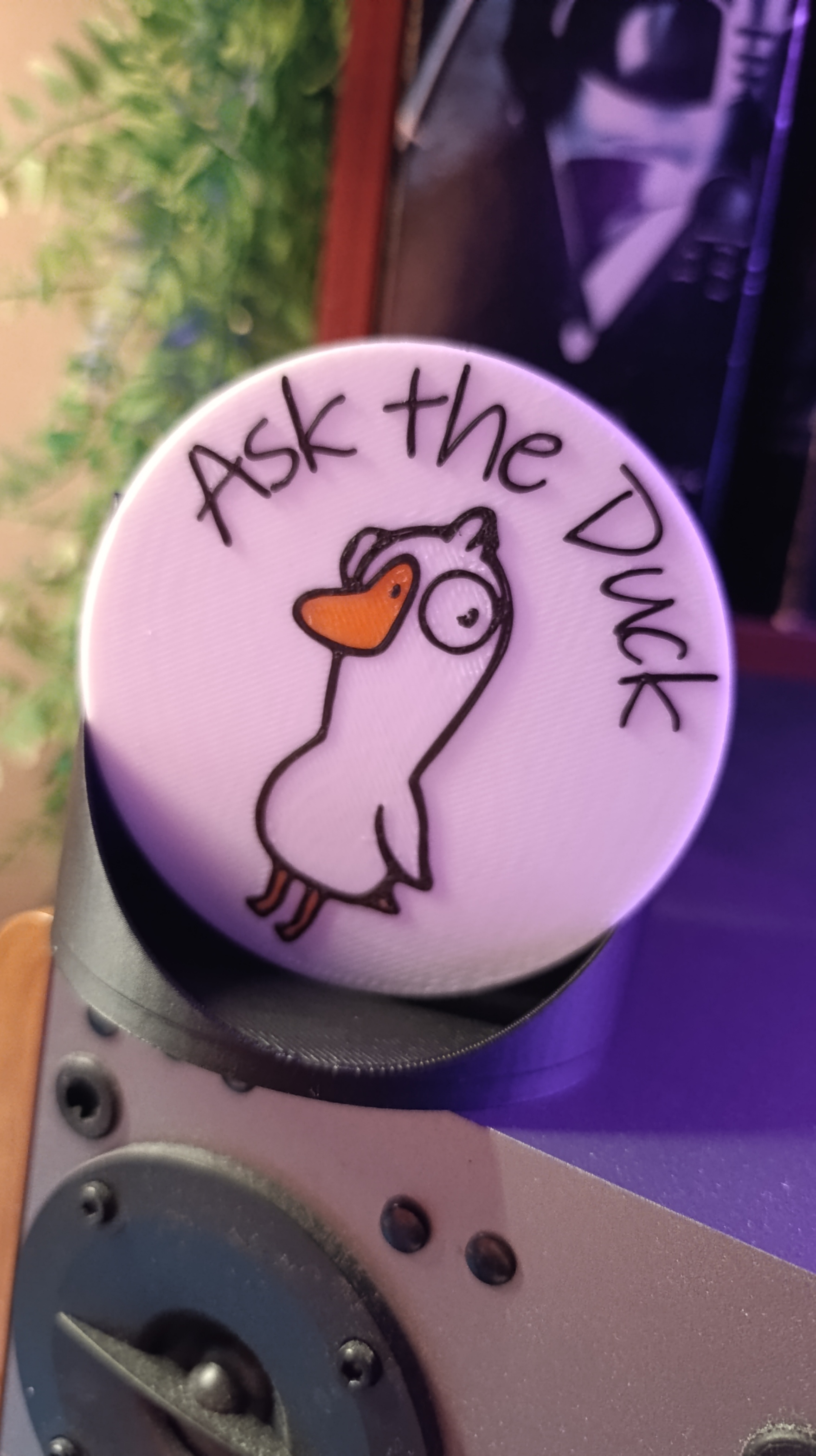"Ask the Duck" Coaster