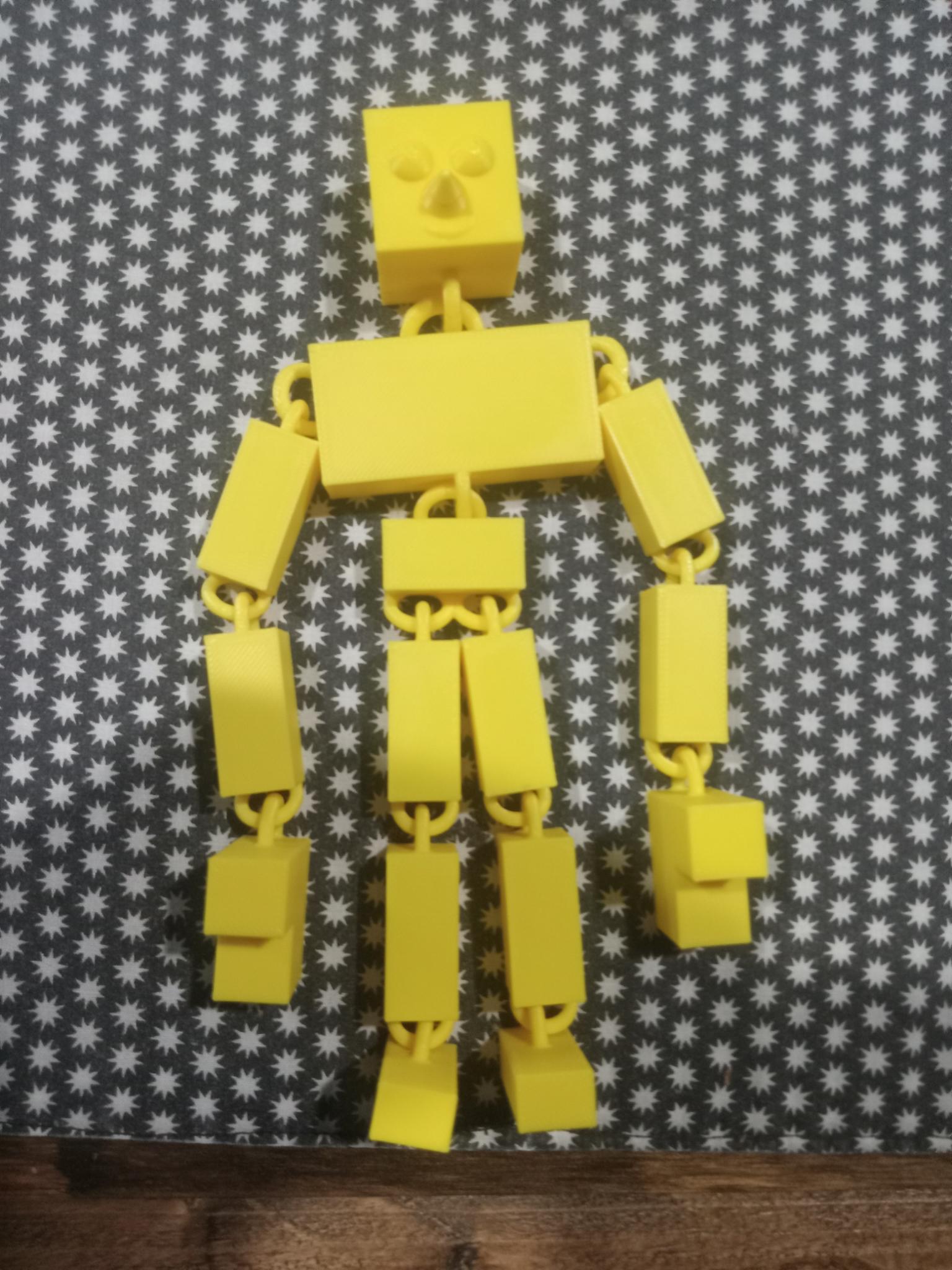 ragdoll