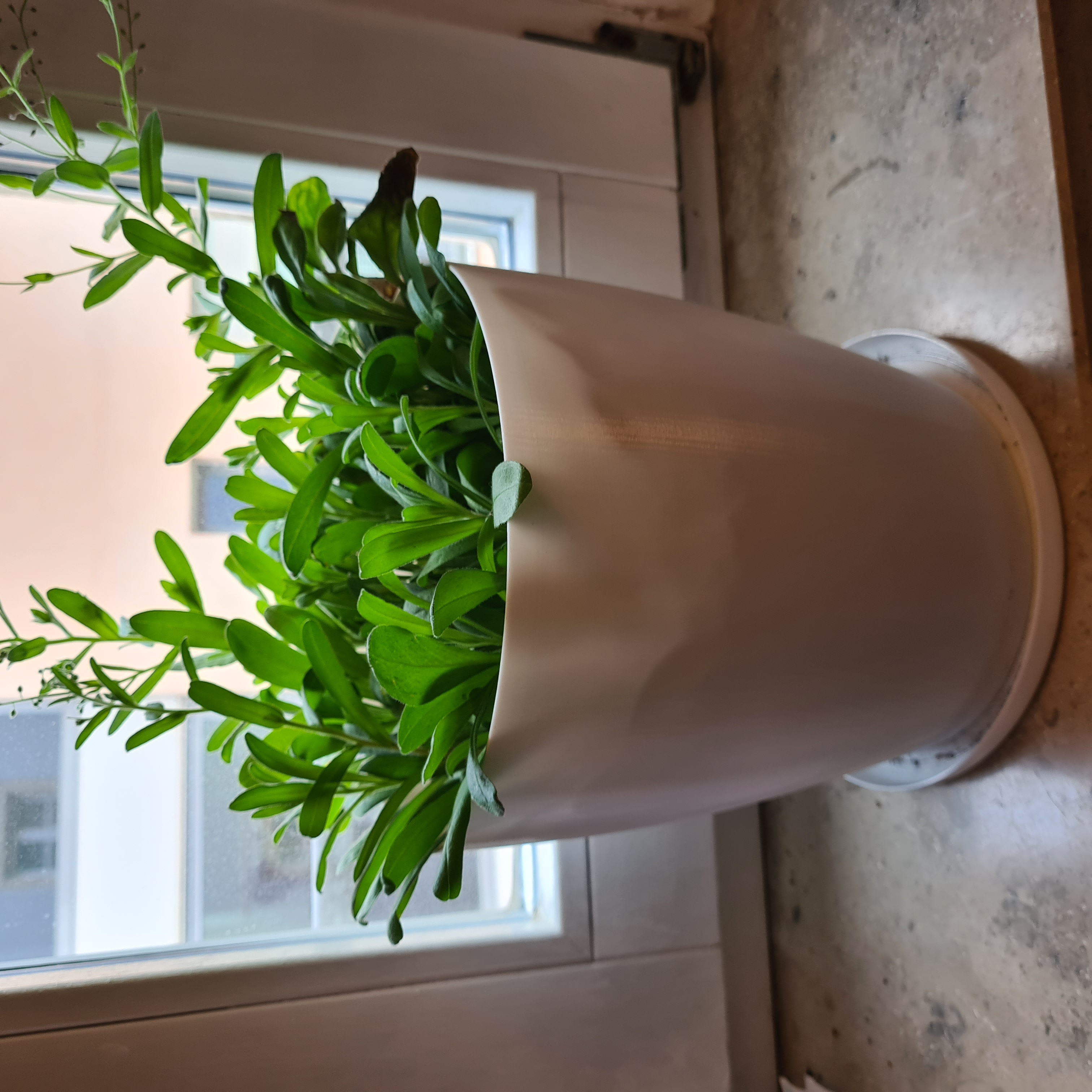 Flowerpot with saucer