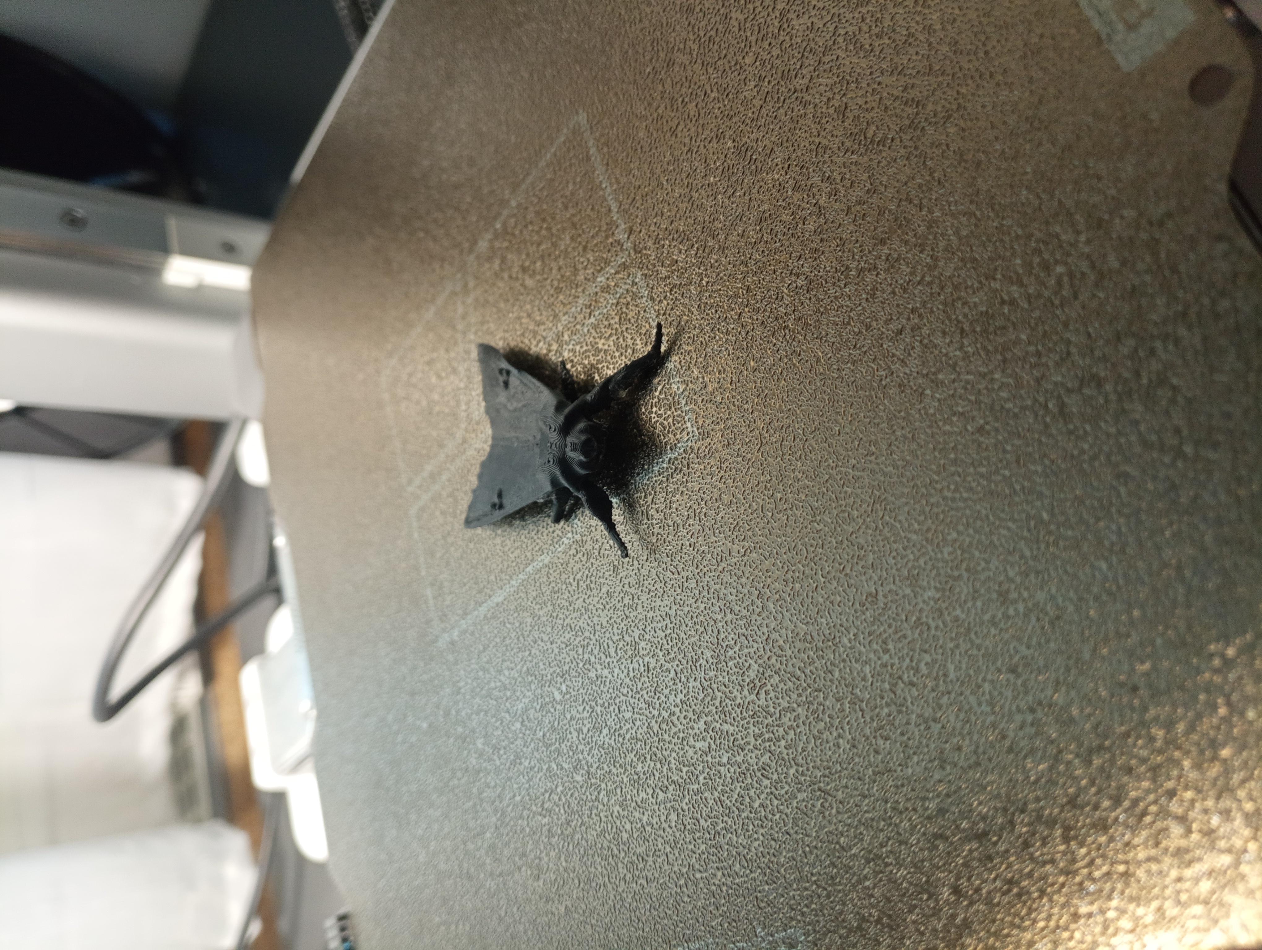 fake moth  (prank) — miniatura 2