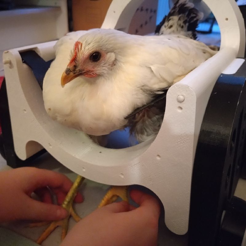 The Bawkmobile - Chicken Wheelchair by Traumatized Tuna | Download free ...
