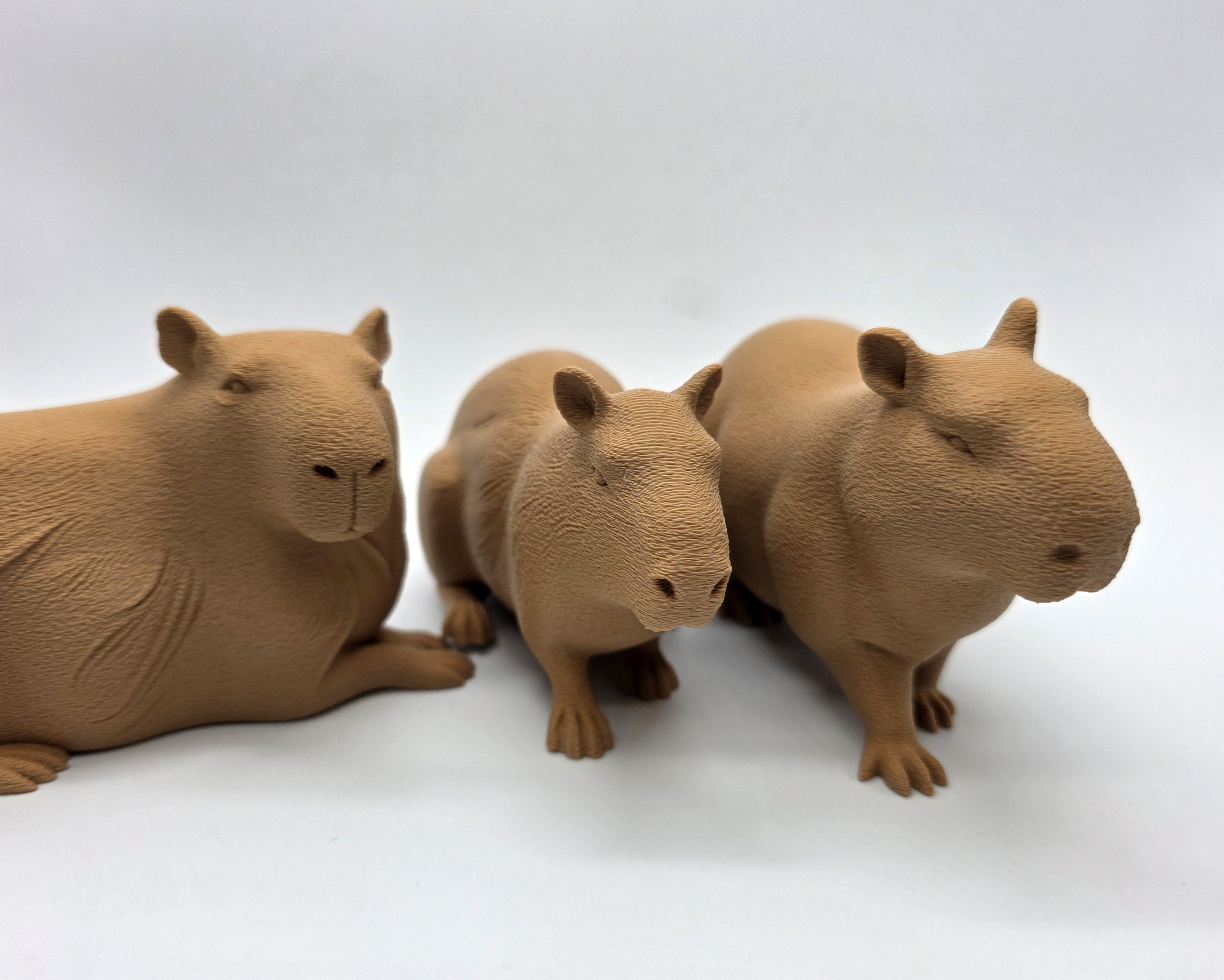 3 Cute Capybaras - Fuzzy Skin Optional