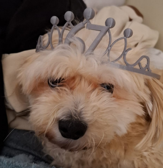 67 Tiara Crown