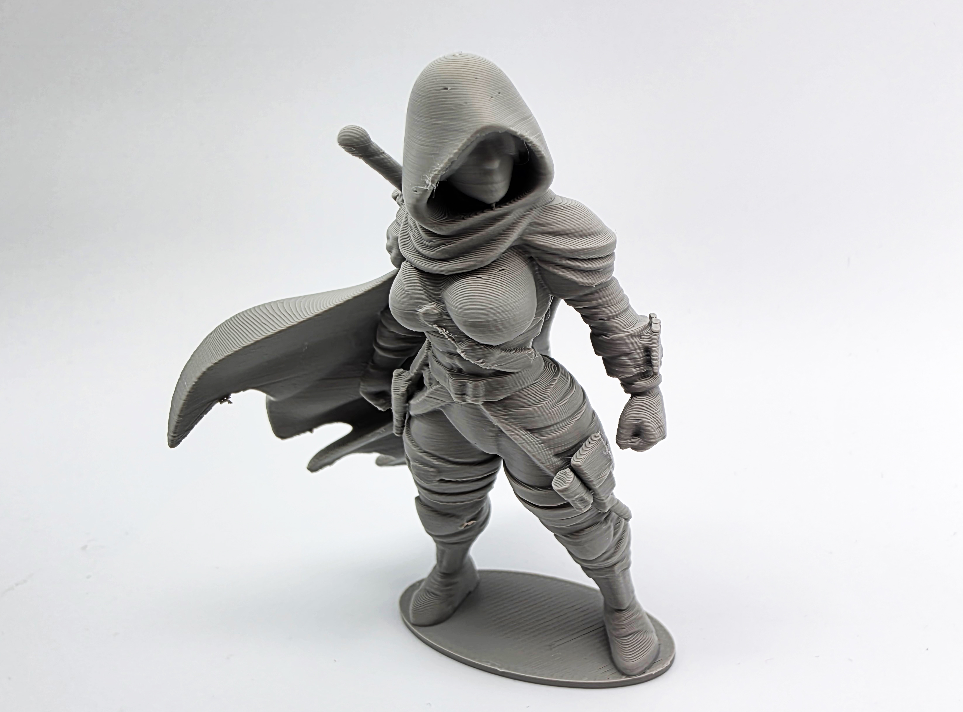 Female Hooded Assassin Figurine — miniatura 2