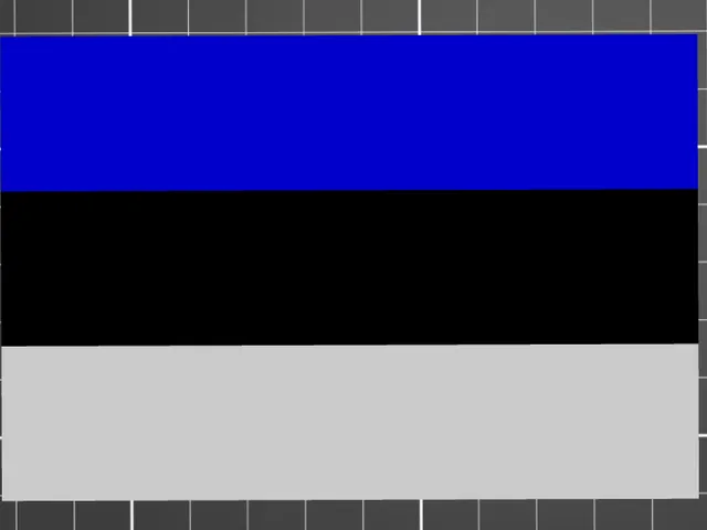 Estonia Flag