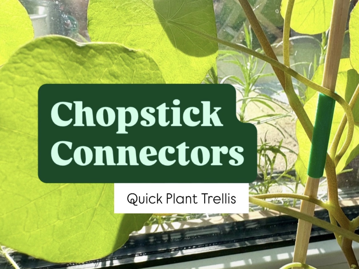 Chopstick connectors for simple plant support trellis