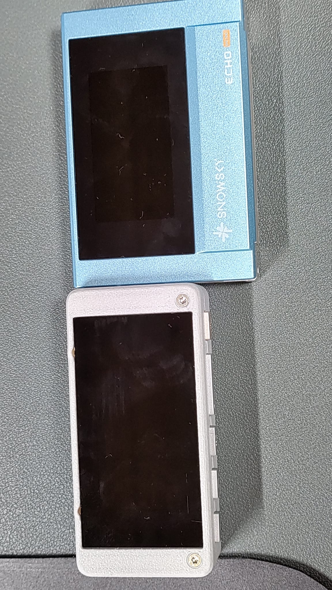 Snowsky Echo Mini Casing (body)