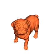Baby-Mops_Pug
