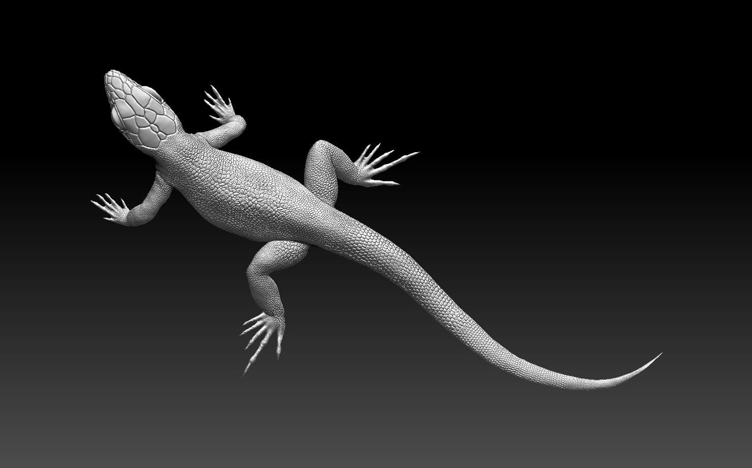 lizard — miniatura 16