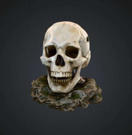 Realistic Human Skull on Stone Base