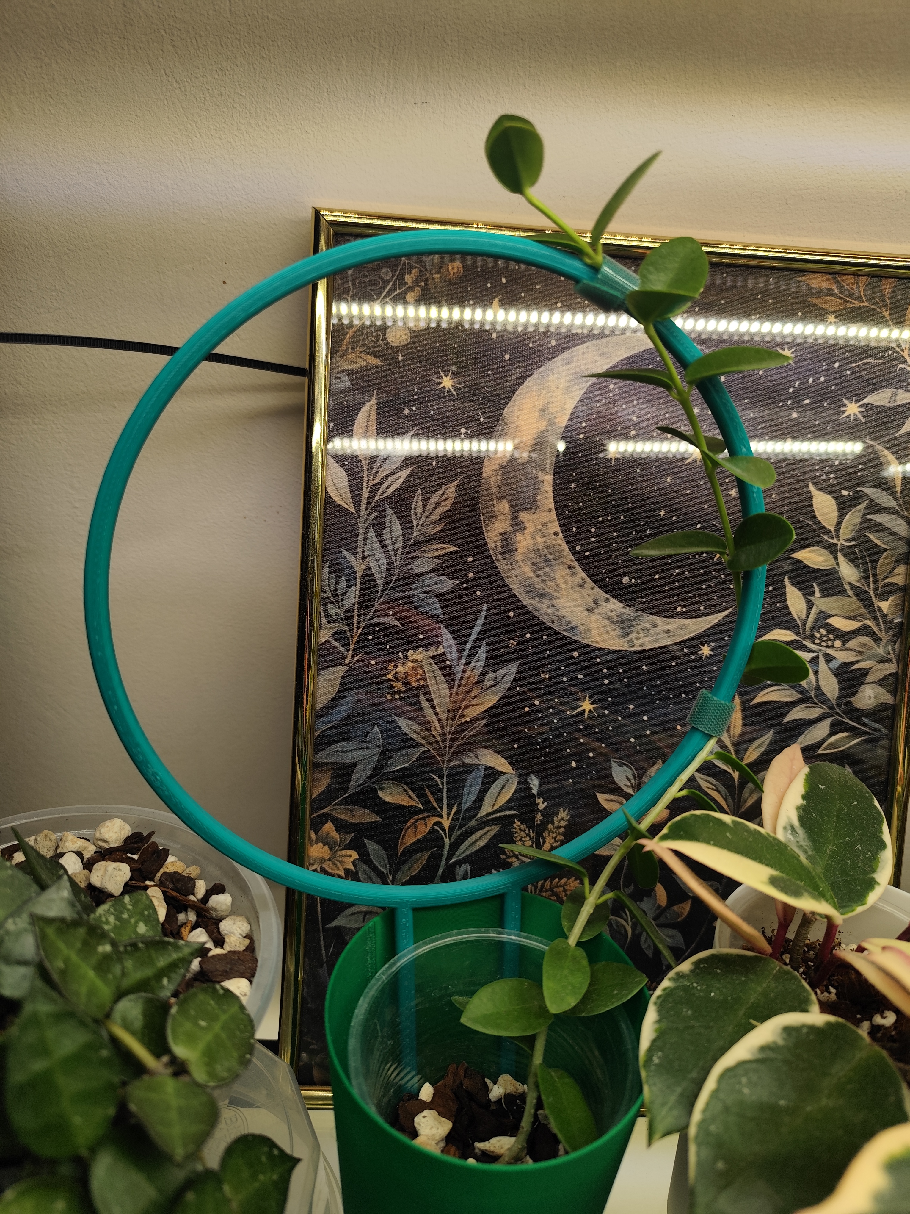 Rounded trellis