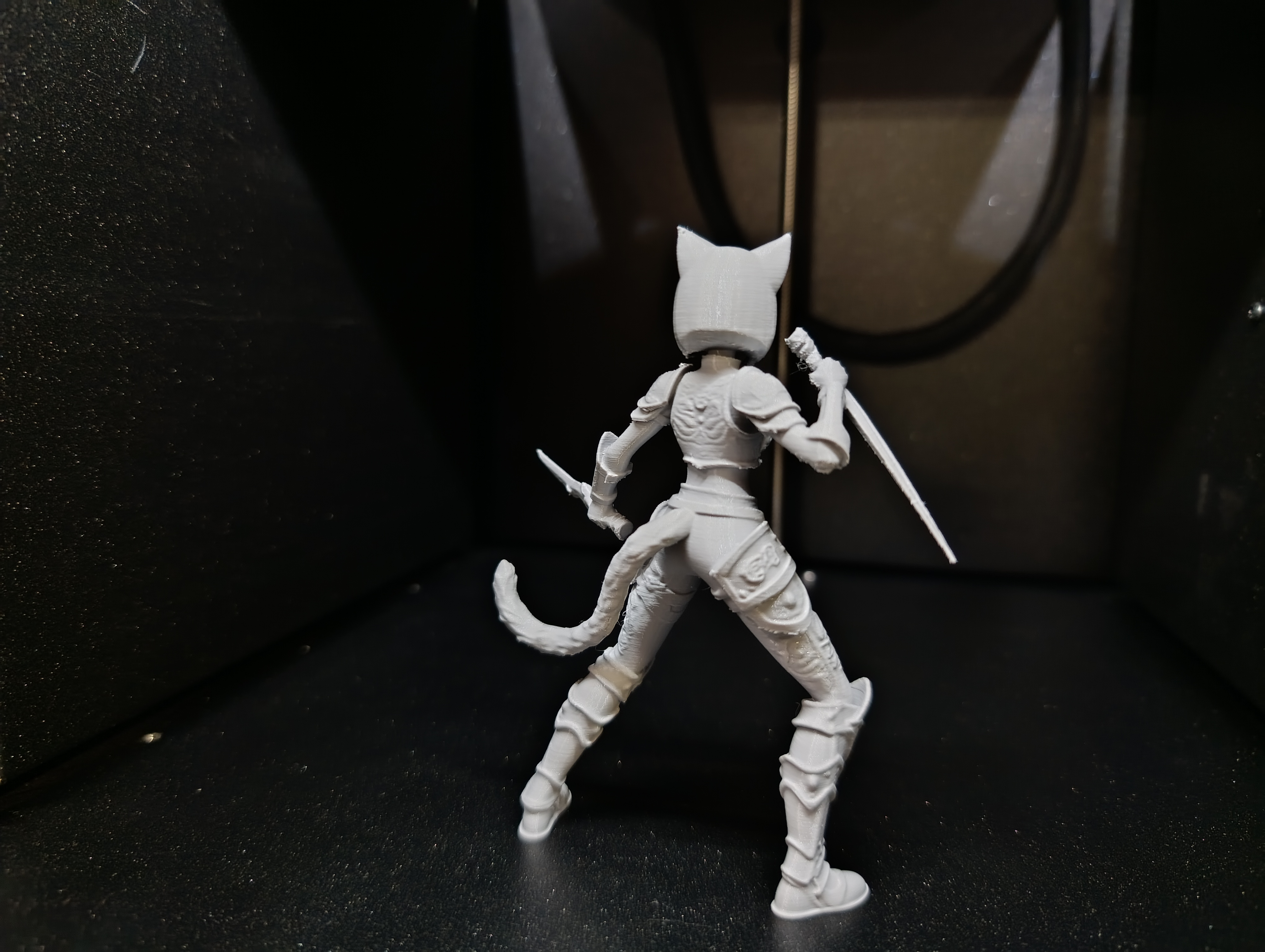 Miniatura 6 do modelo 3D Anime Cat-Girl: Dual Blade Warrior