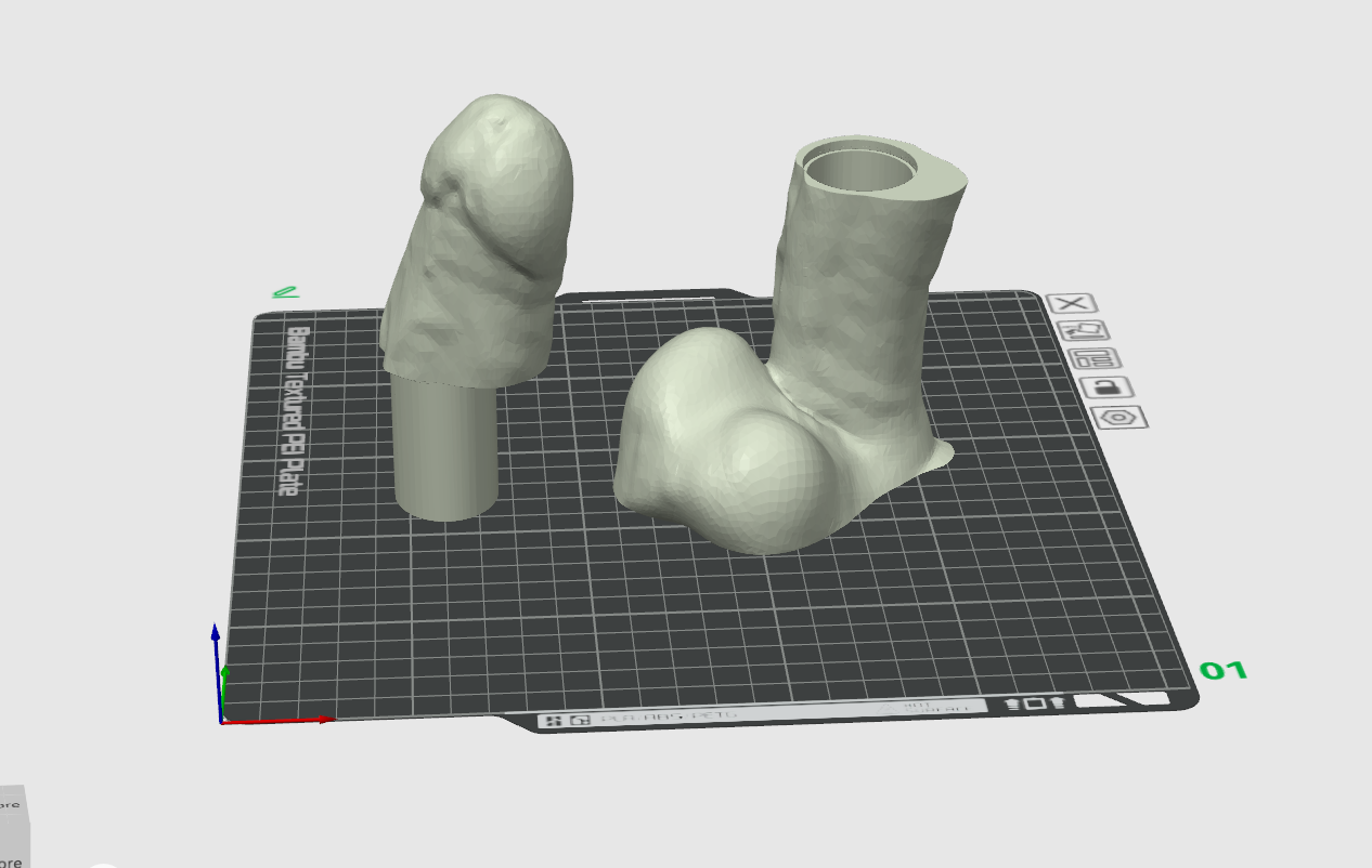 Realistic Penis with Hidden Internal Compartment 88mm x 39mm