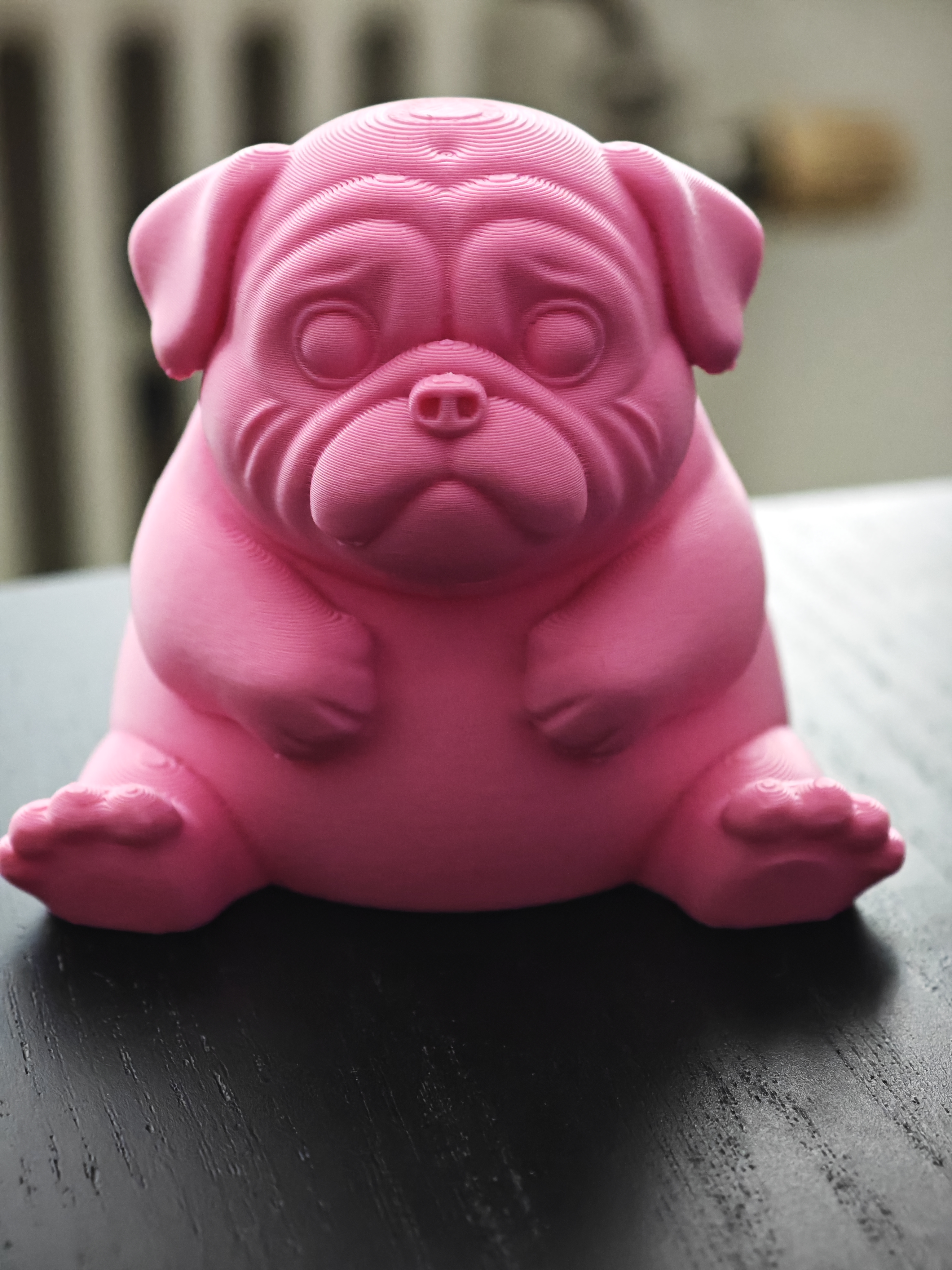 Chubby Dog