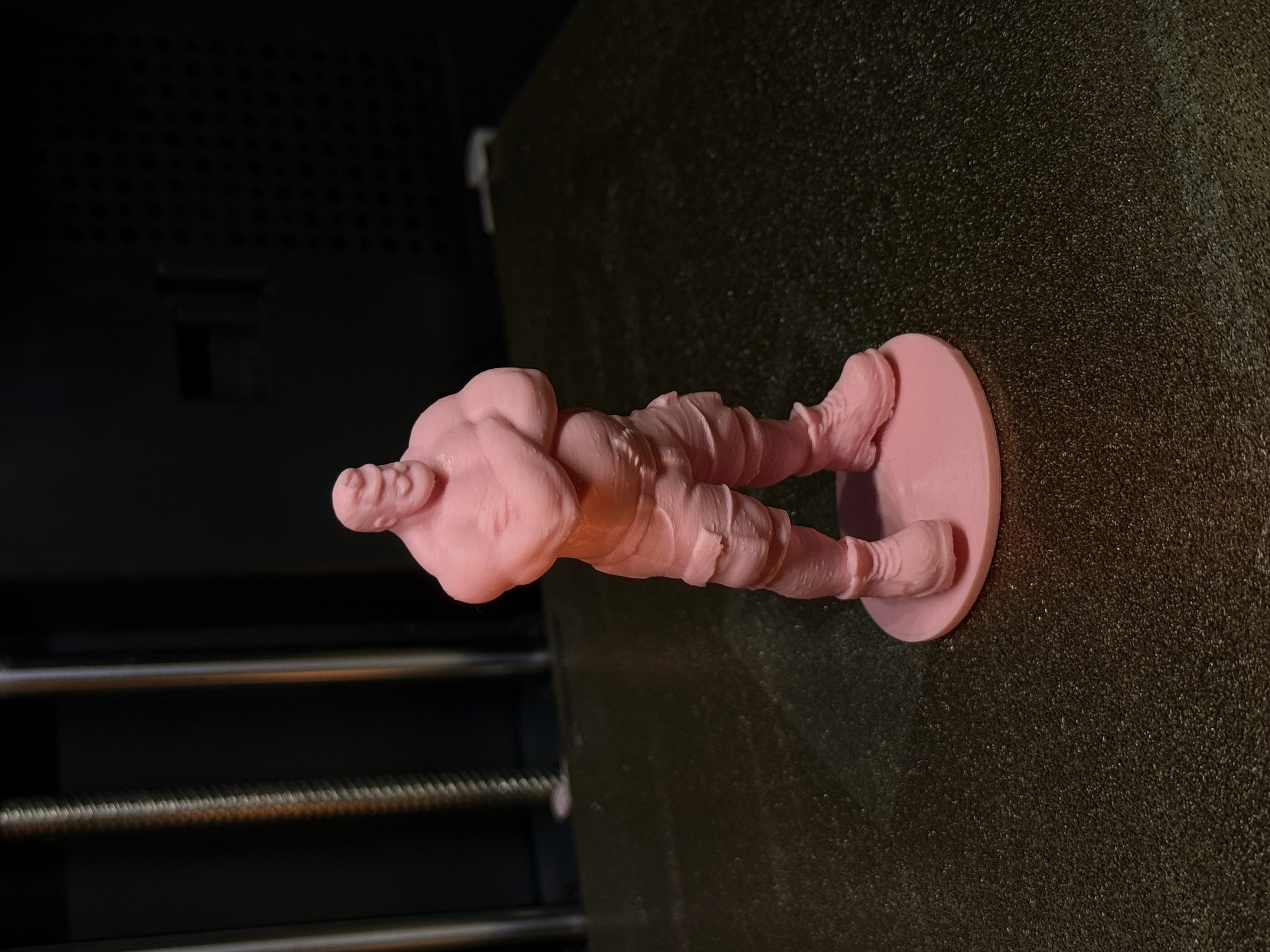Muscular Bear (Daddy)